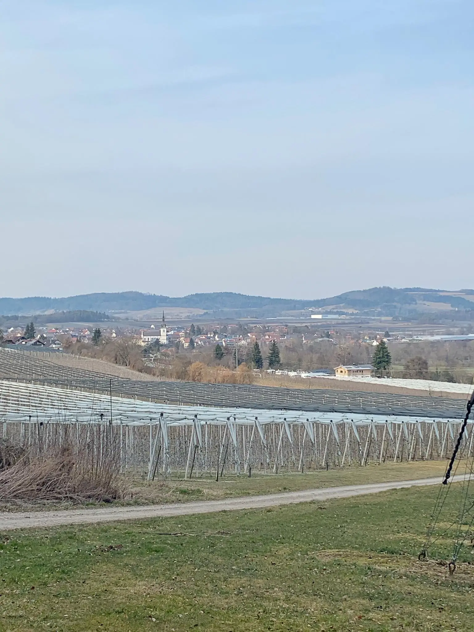 Urlaub am Bodensee zum Beispiel mit dem Camper in Wahlwies.