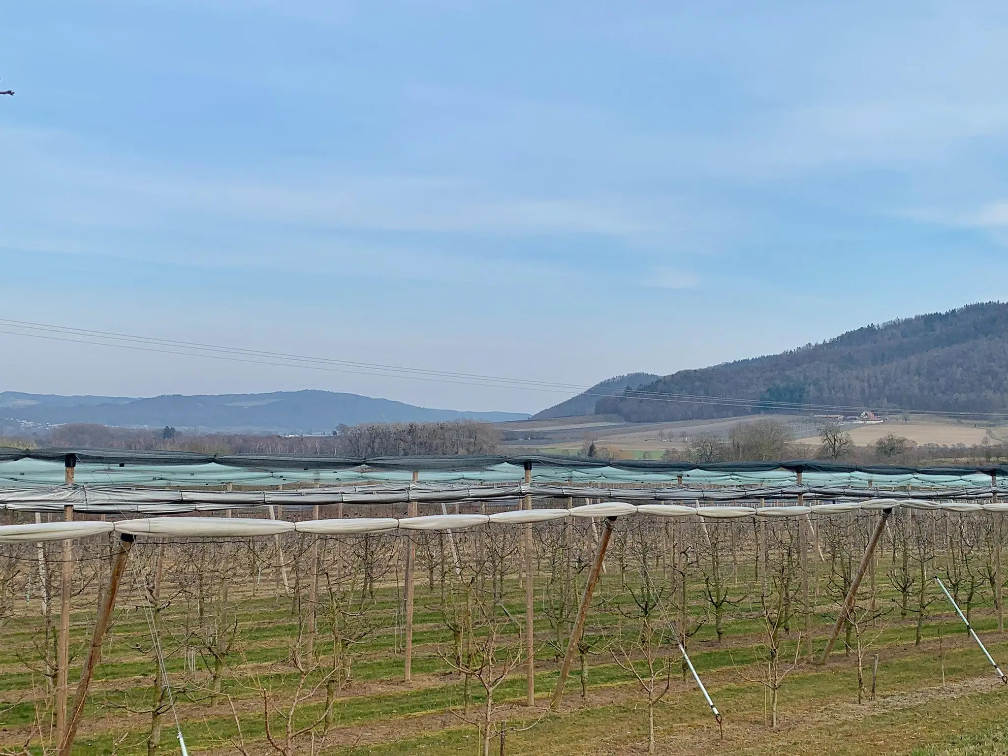 Der Campinggarten Wahlwies liegt in der Nähe von Bodman am Bodensee.