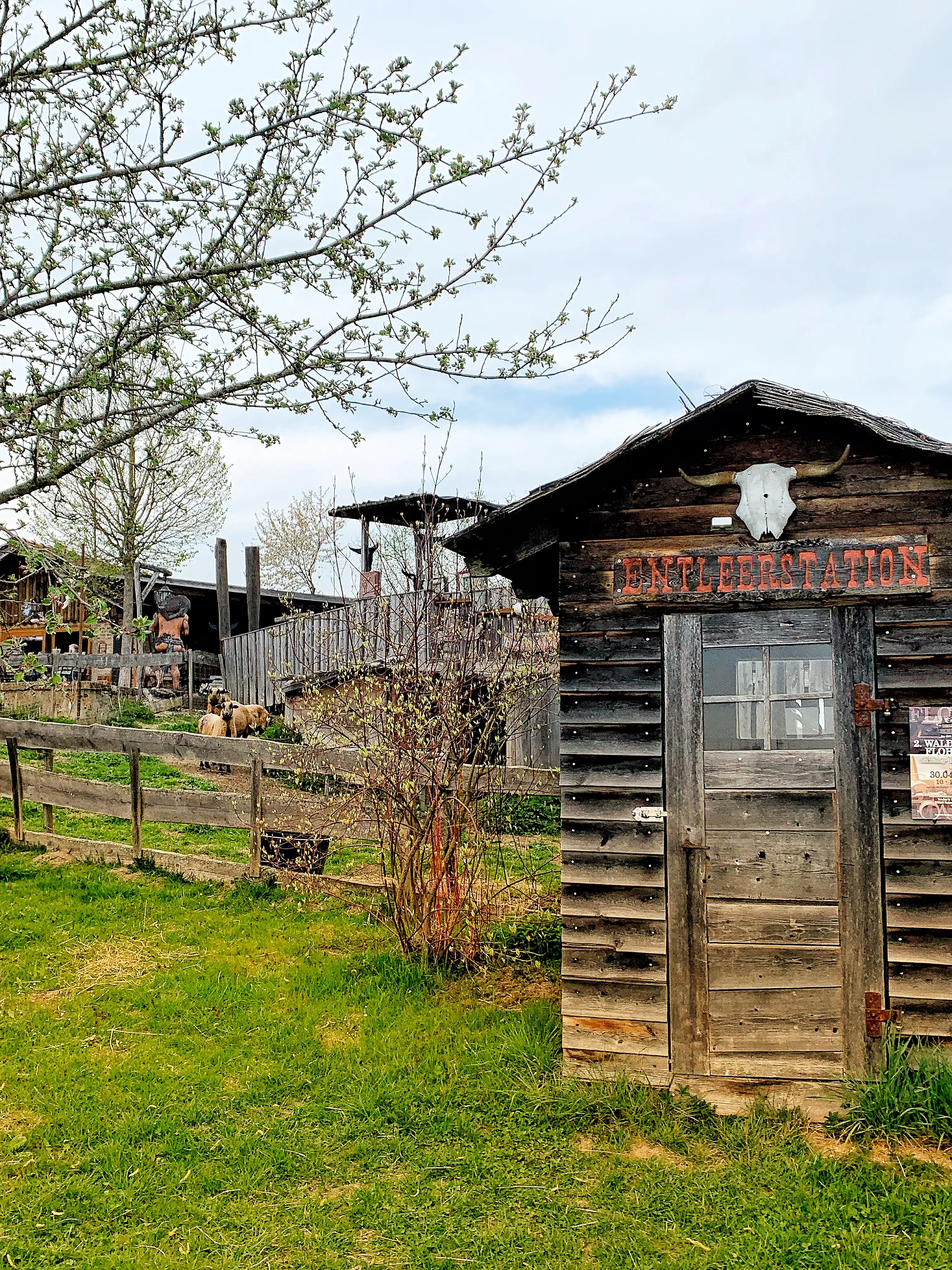 Camping auf dem Bauernhof geht zum Beispiel auf dem TipiHof Sauldorf.