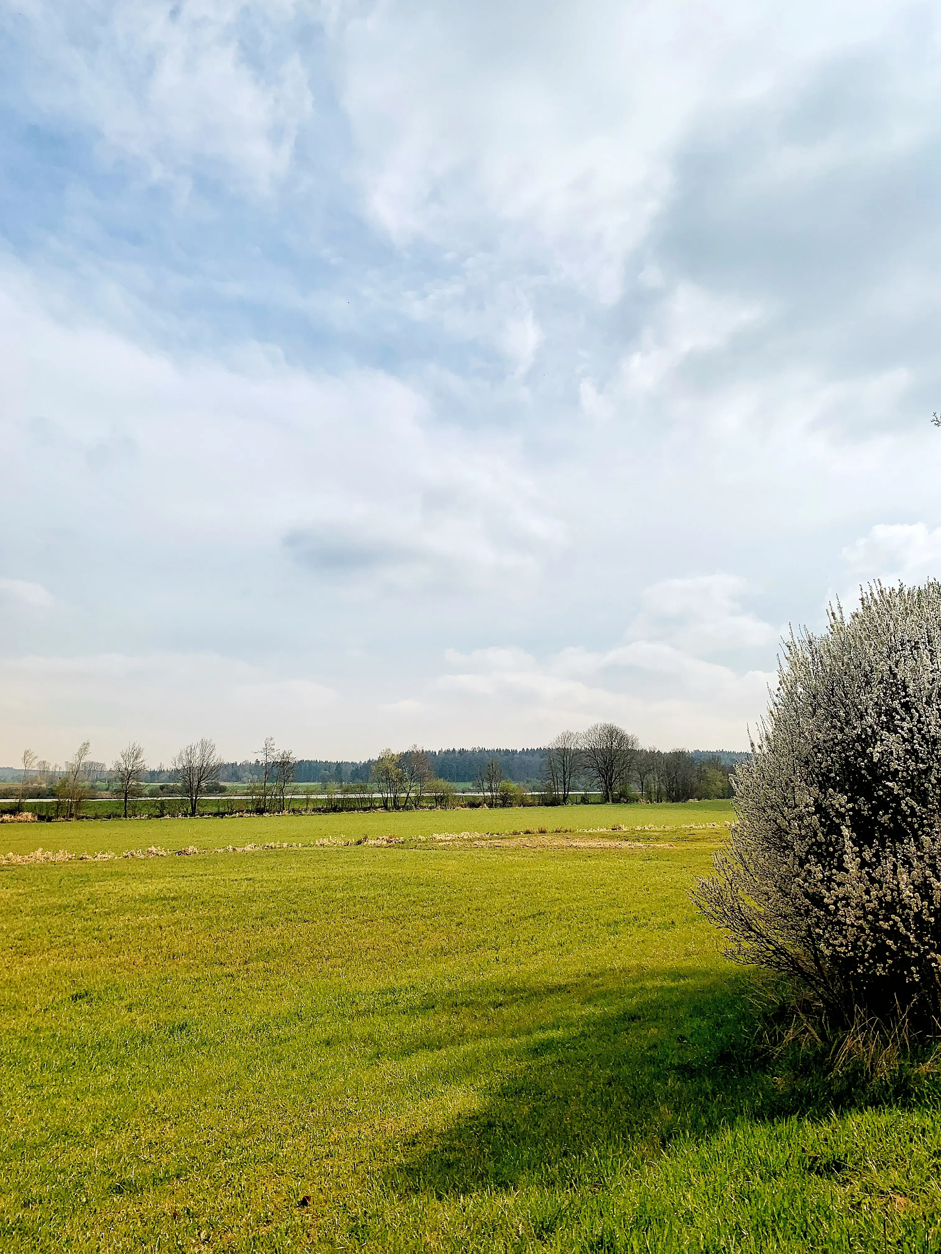 Die Reiseblogger von localsbodensee erkunden die Seenplatte bei Sauldorf.