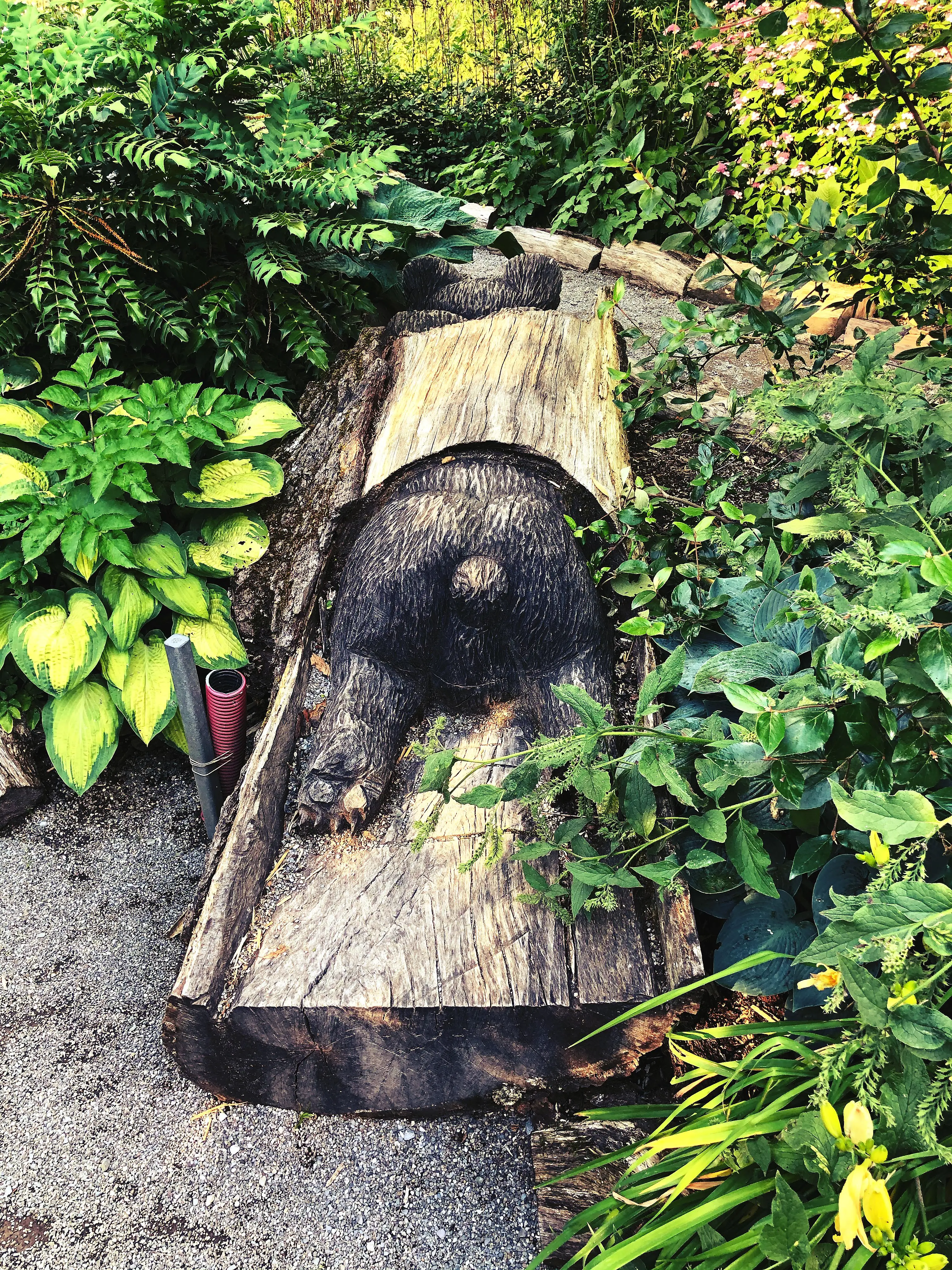 Viele versteckte Holzschnitzereien sind in den Beeten der Insel Mainau versteckt, wie z.B. ein Bär der in einem Baumstamm steckt.