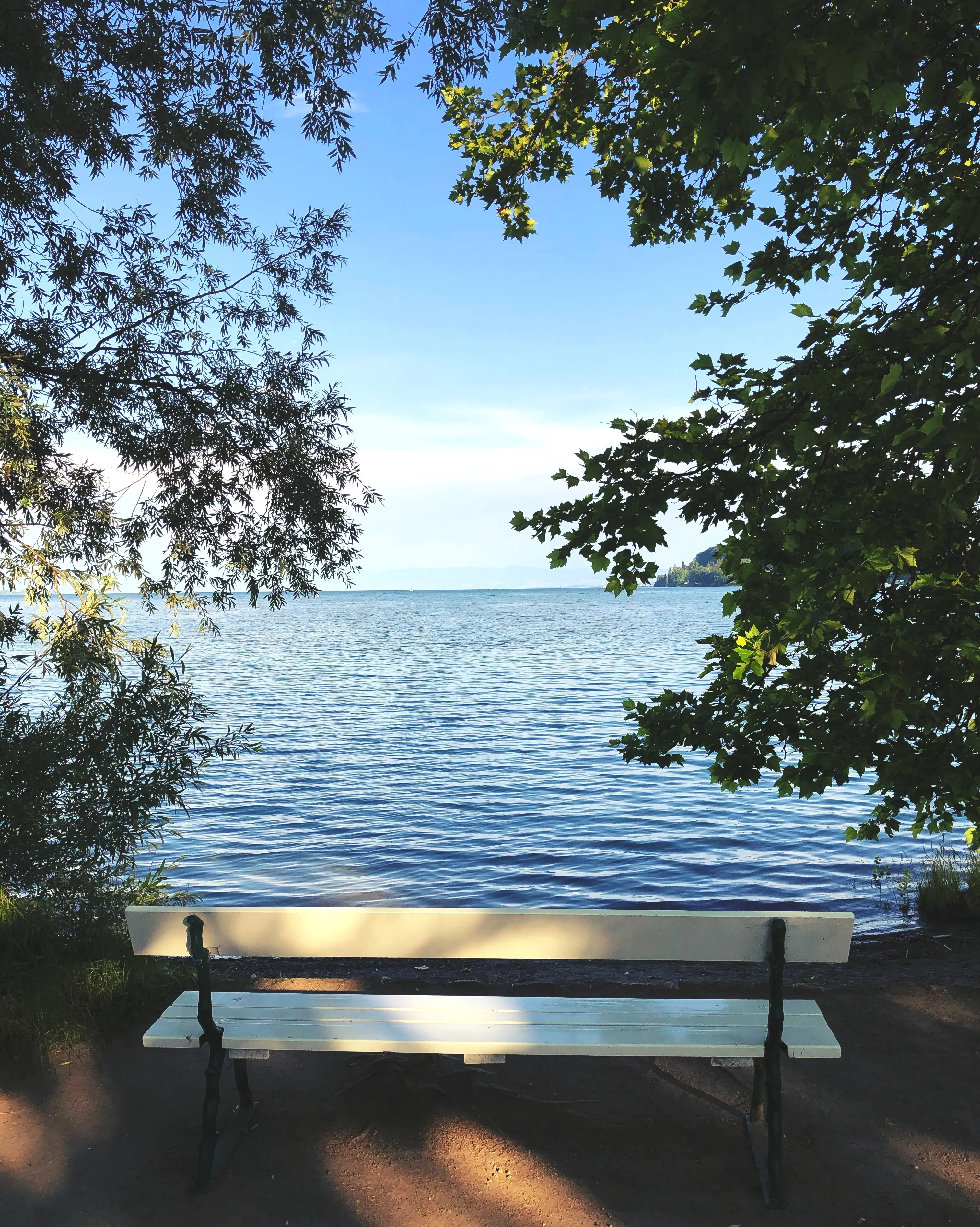 Viele Sitzplätze mit tollen Ausblick auf den Bodensee sind auf der Blumeninsel Mainau zu finden.