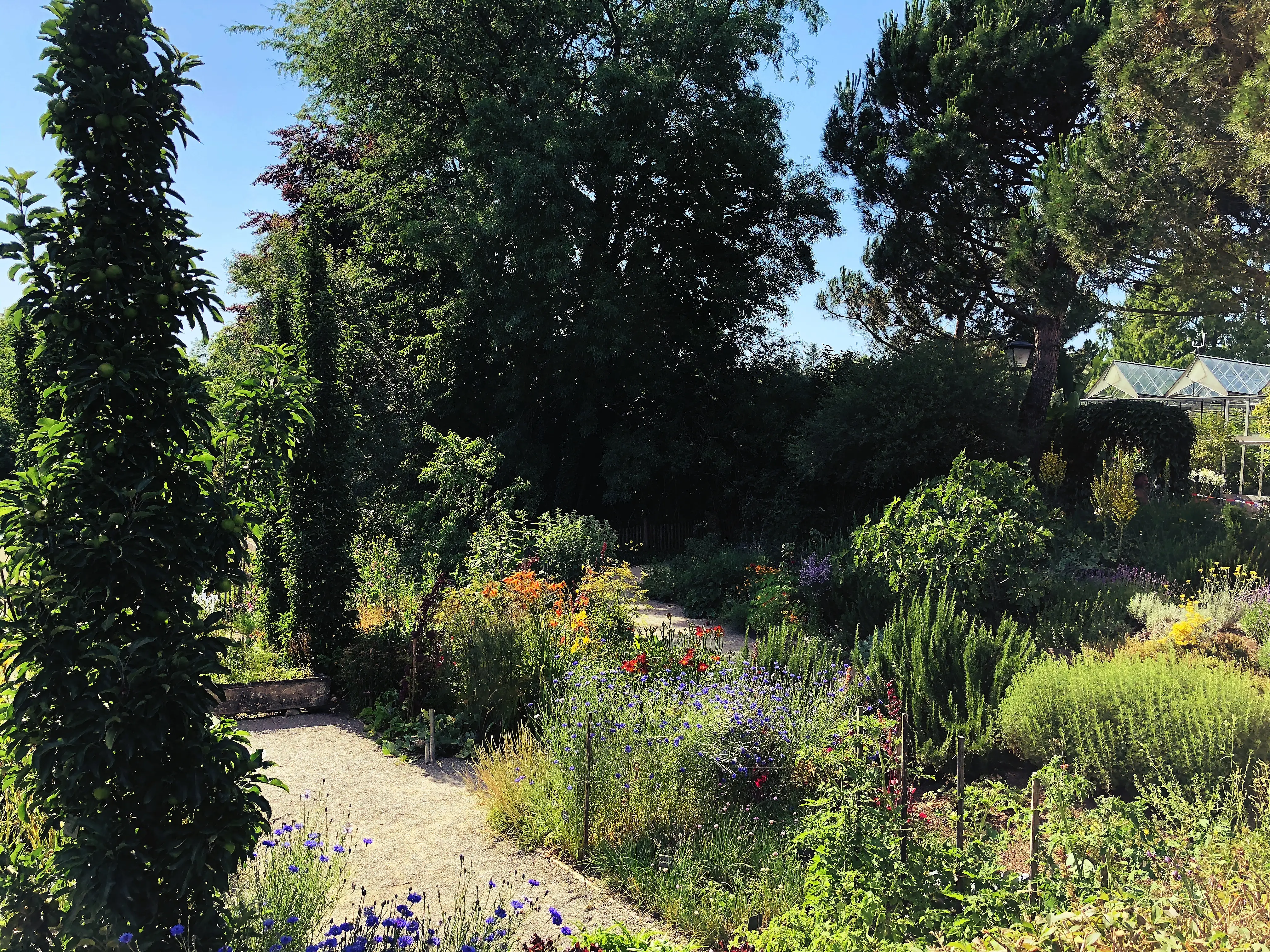 Der Bauerngarten der Insel Mainau ist mit heimischen Gemüse und Obst bepflanzt.