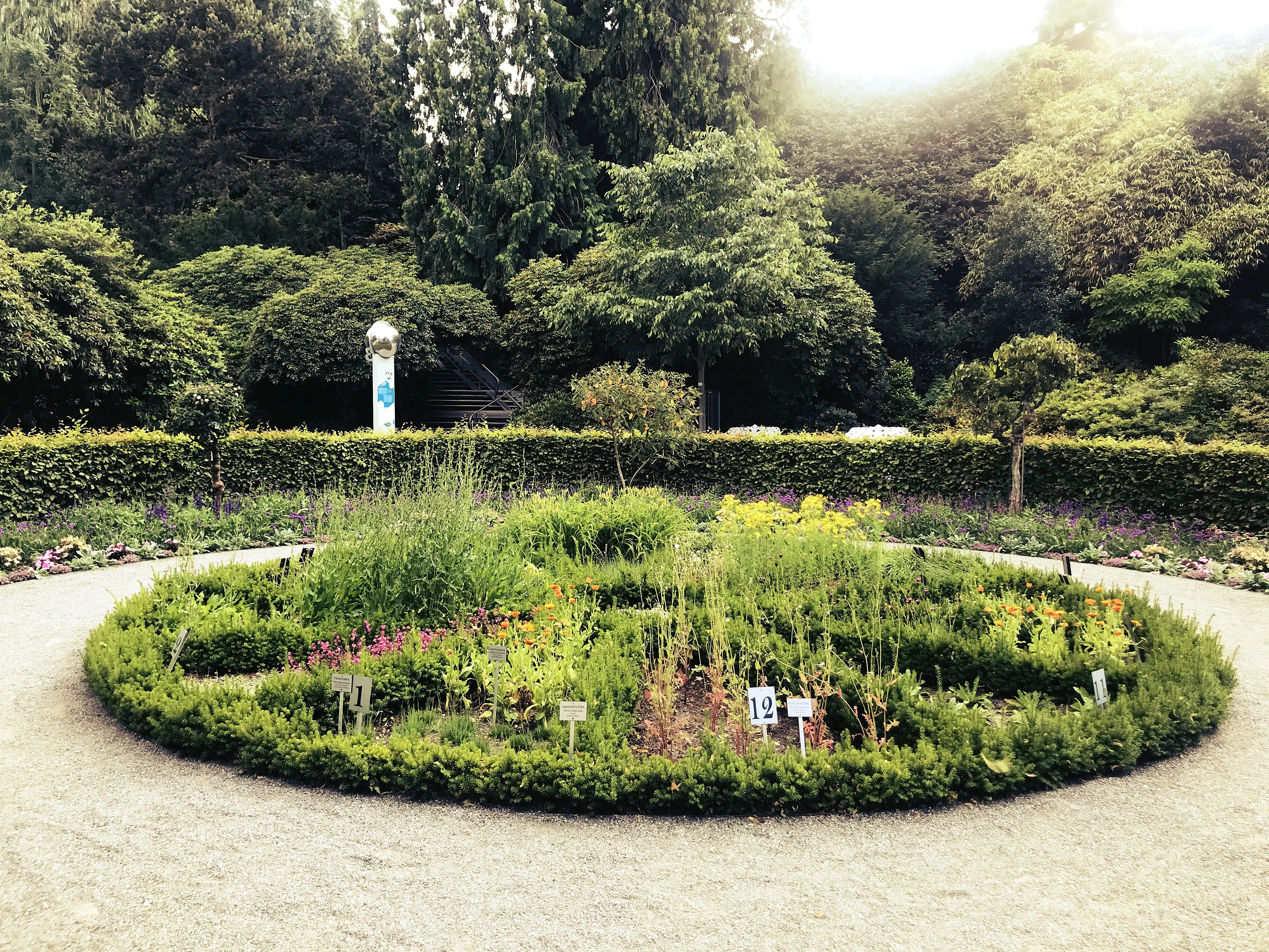 Die Blumenuhr nach Linné auf der Mainau zeigt anhand der Blüte verschiedener Gewächse die Tageszeit.