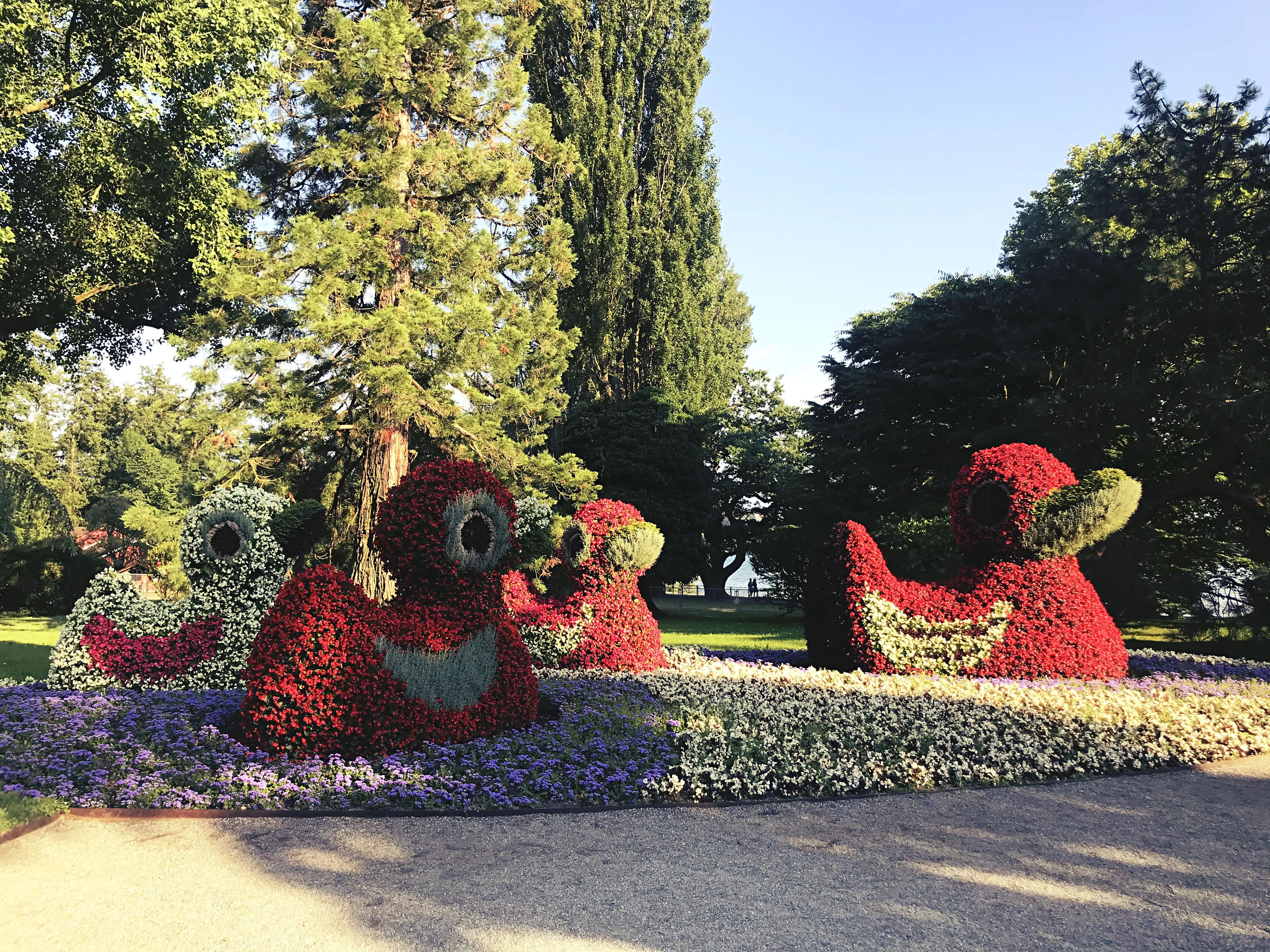 Vier große Enten aus Blumen begrüßen die Besucher der Insel Mainau jedes Jahr aufs Neue.