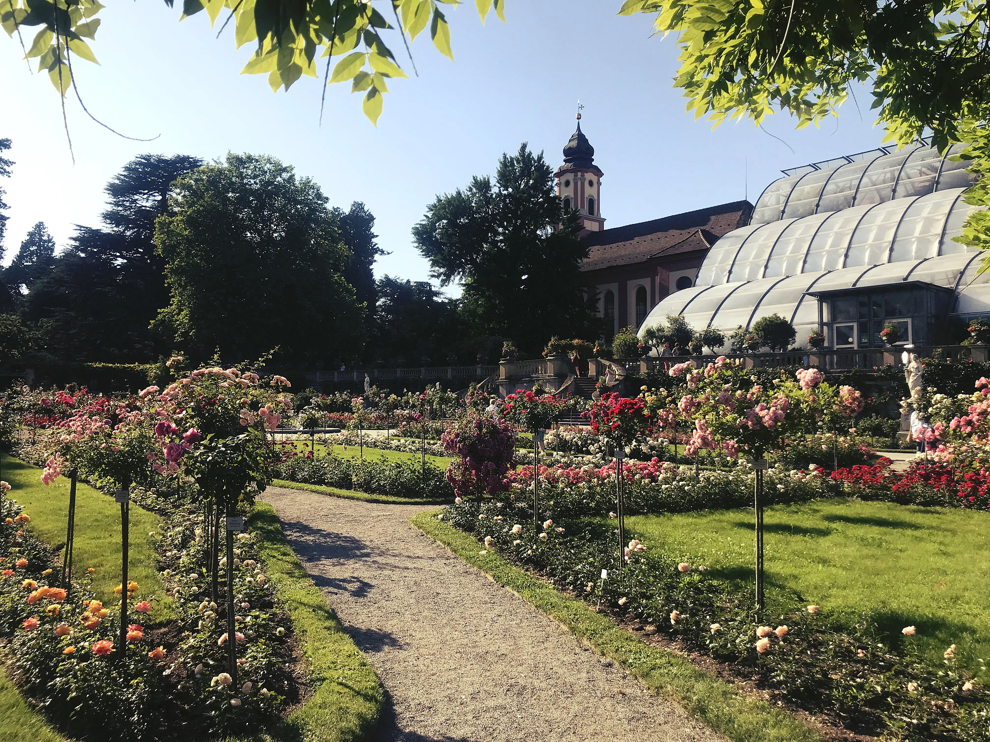 Der Rosengarten unterhalb des Palmenhauses ist wunderschön angelegt und zeigt eine Vielzahl verschiedener Sorten.