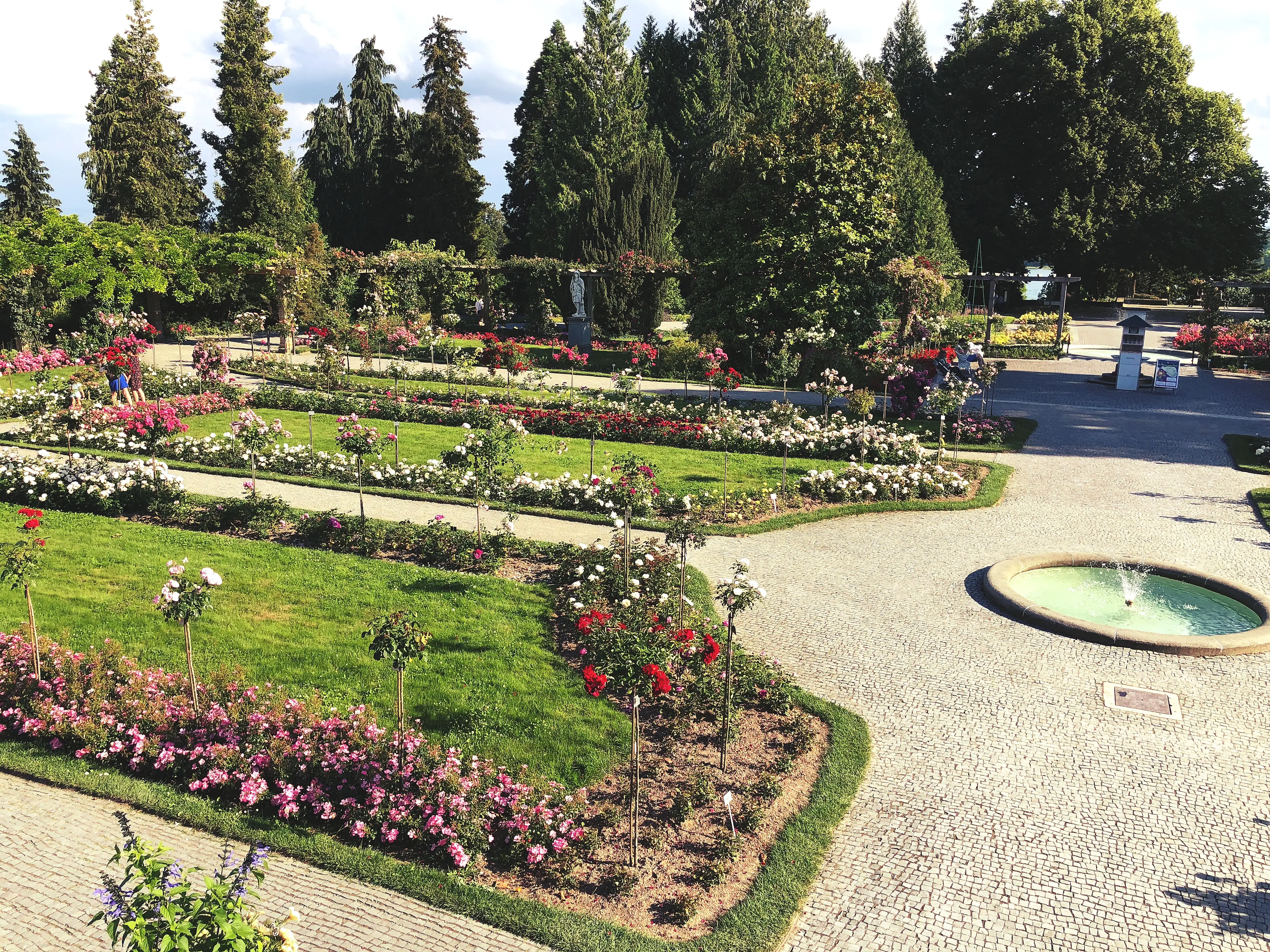 Der Rosengarten ist einer der Hauptattraktionen auf der Insel Mainau am Bodensee.