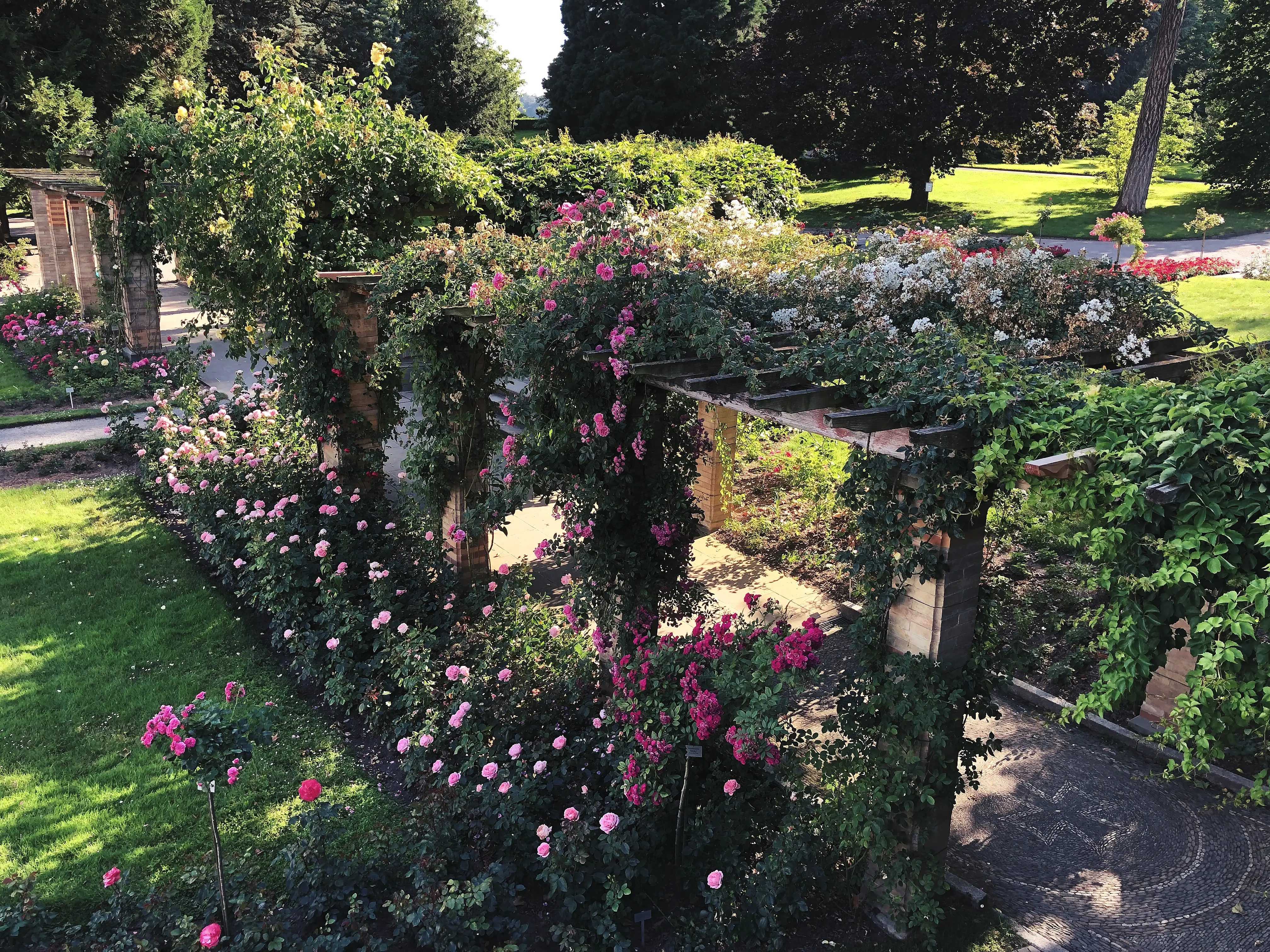Zugewachsene Wege machen auf der Mainau einen verwunschenen Eindruck.