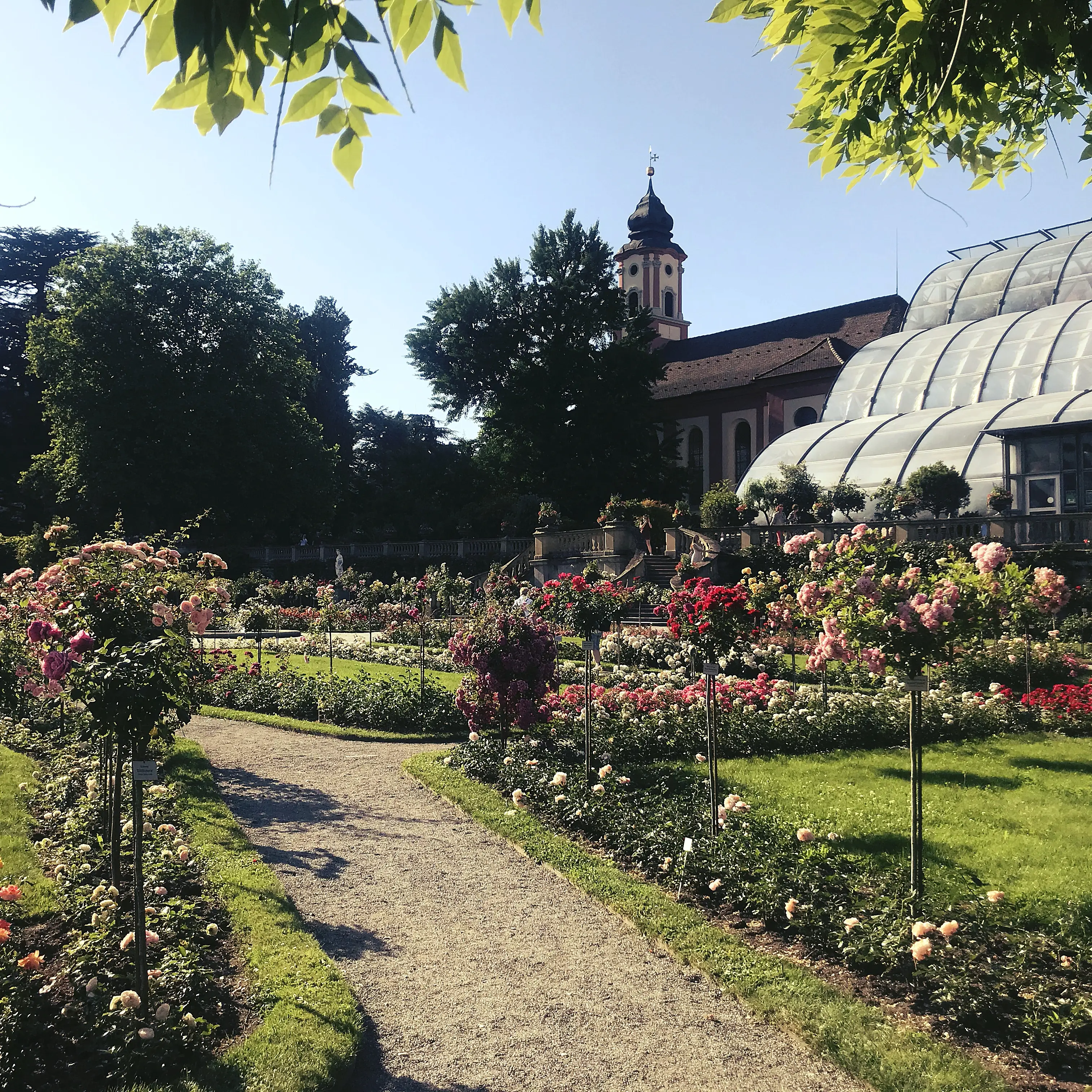 Spaziergang über die Insel Mainau