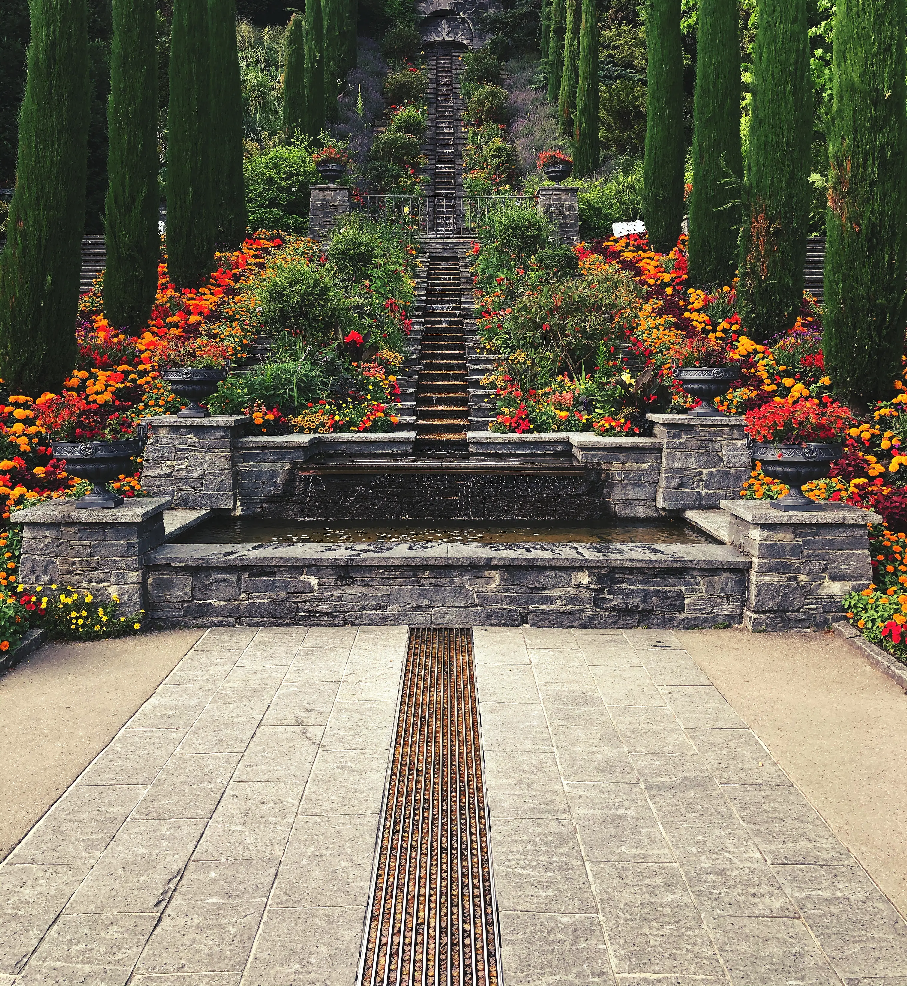 Die italienische Blumen-Wassertreppe auf der Insel Mainau ist auch von unten betrachtet ein Highlight.