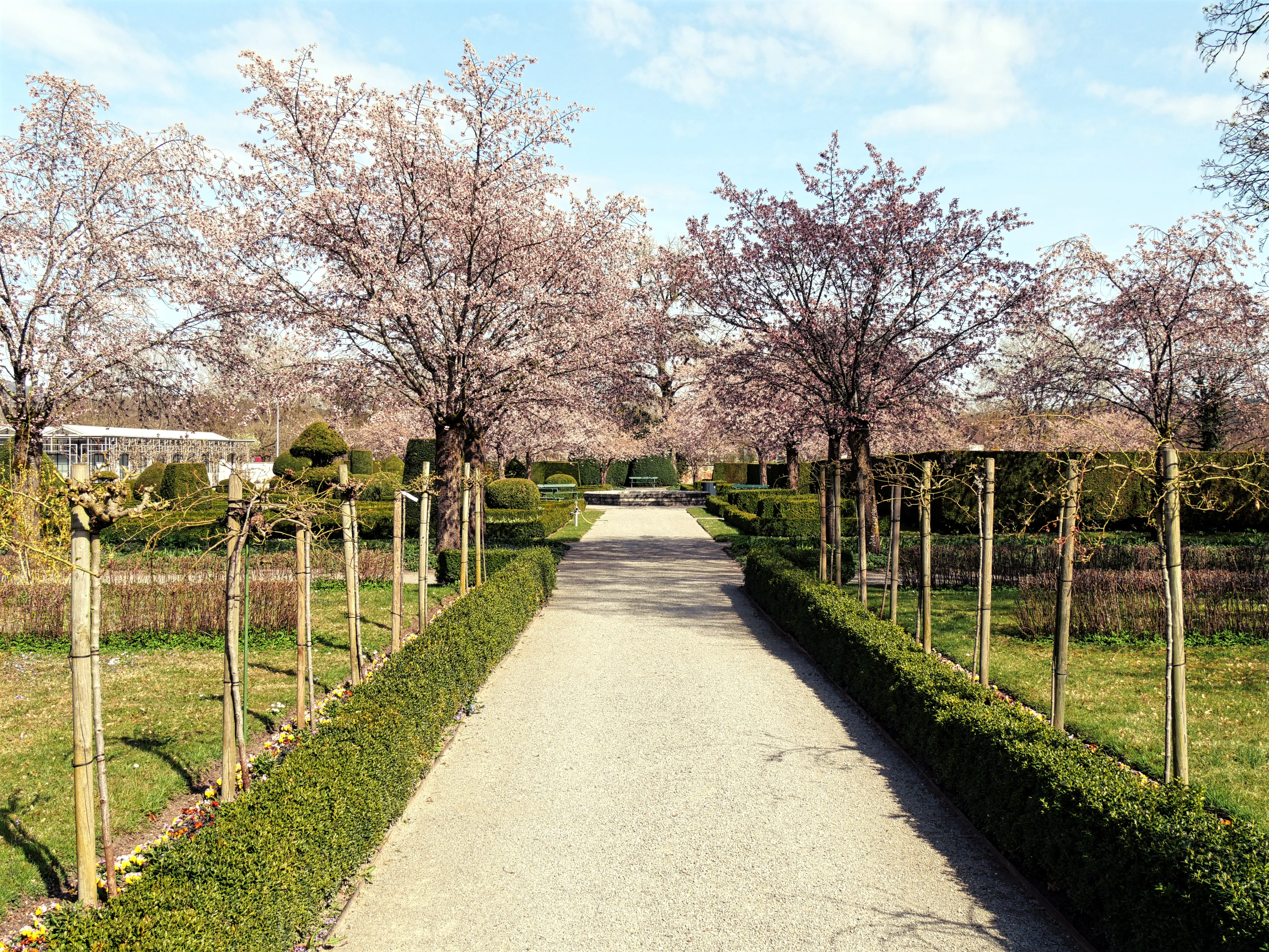 Der Garten des Schloss Salem ist relativ symmetrisch angelegt und sehr gepflegt.