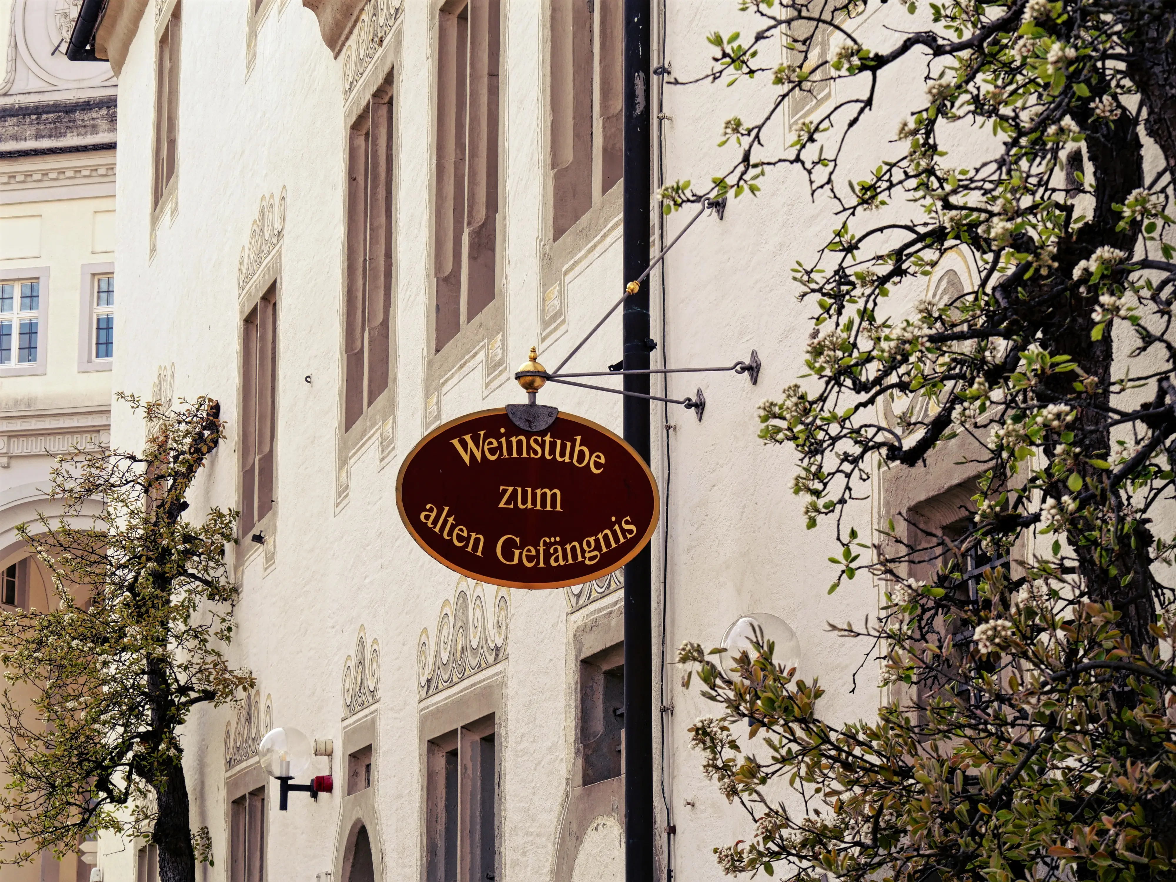 Natürlich gibt es auch eine Weinstube mit Verkauf im Schloss Salem.