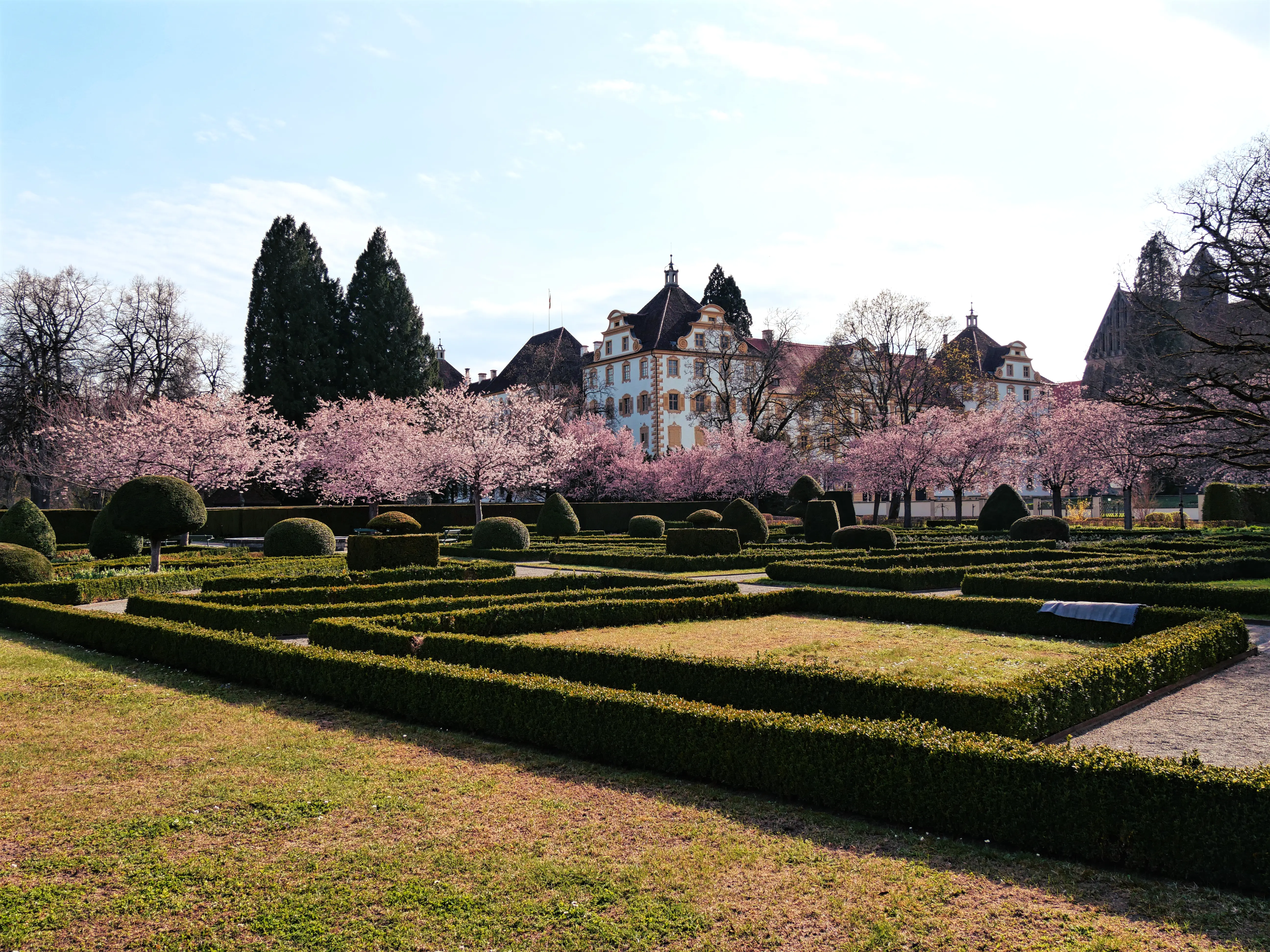 Der Schlossgarten des Schloss Salem ist mit wunderschön blühenden Kirschbäumen angelegt.