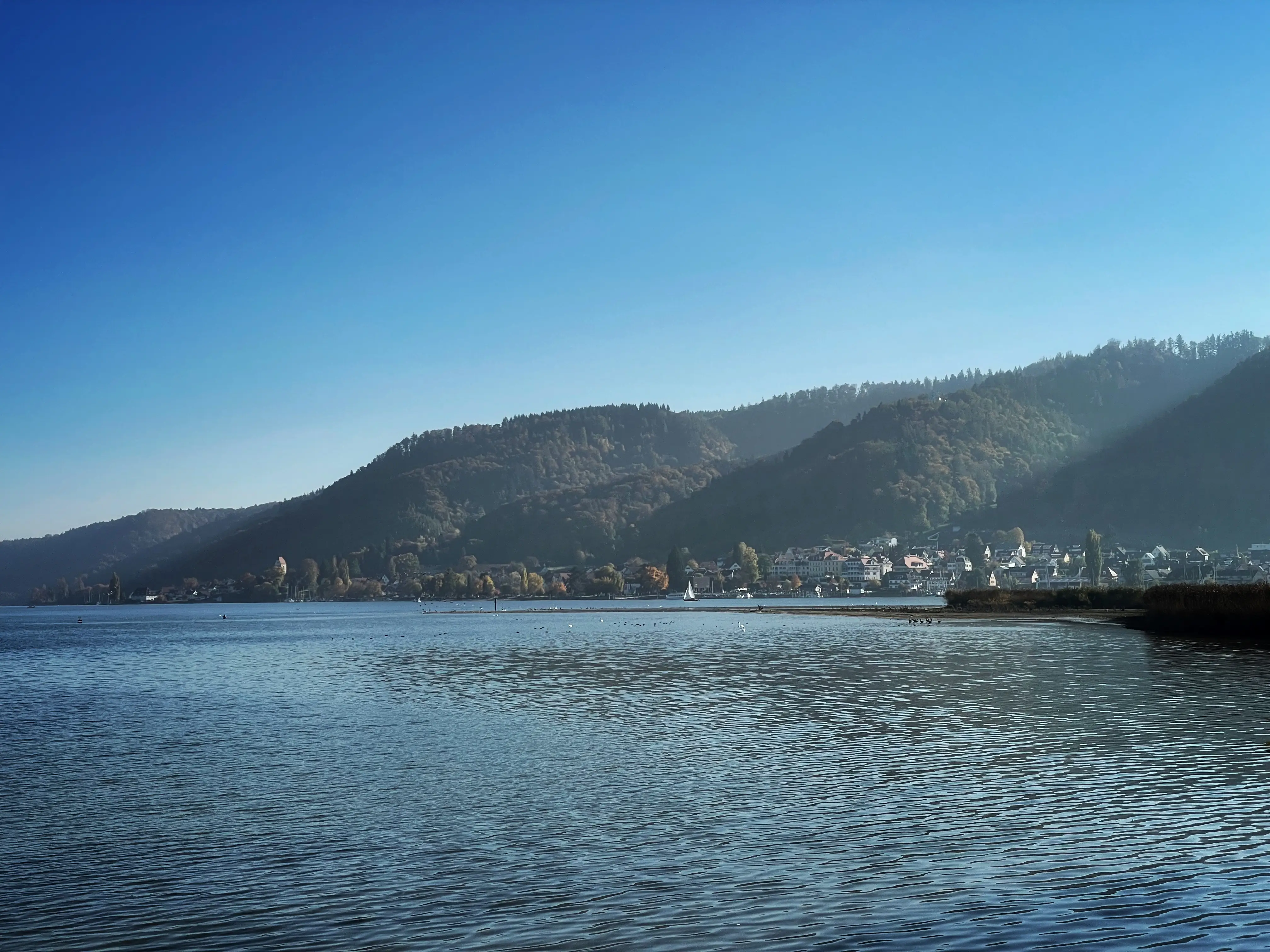 Grünes Hinterland ragt in den blauen Bodensee im Linzgau