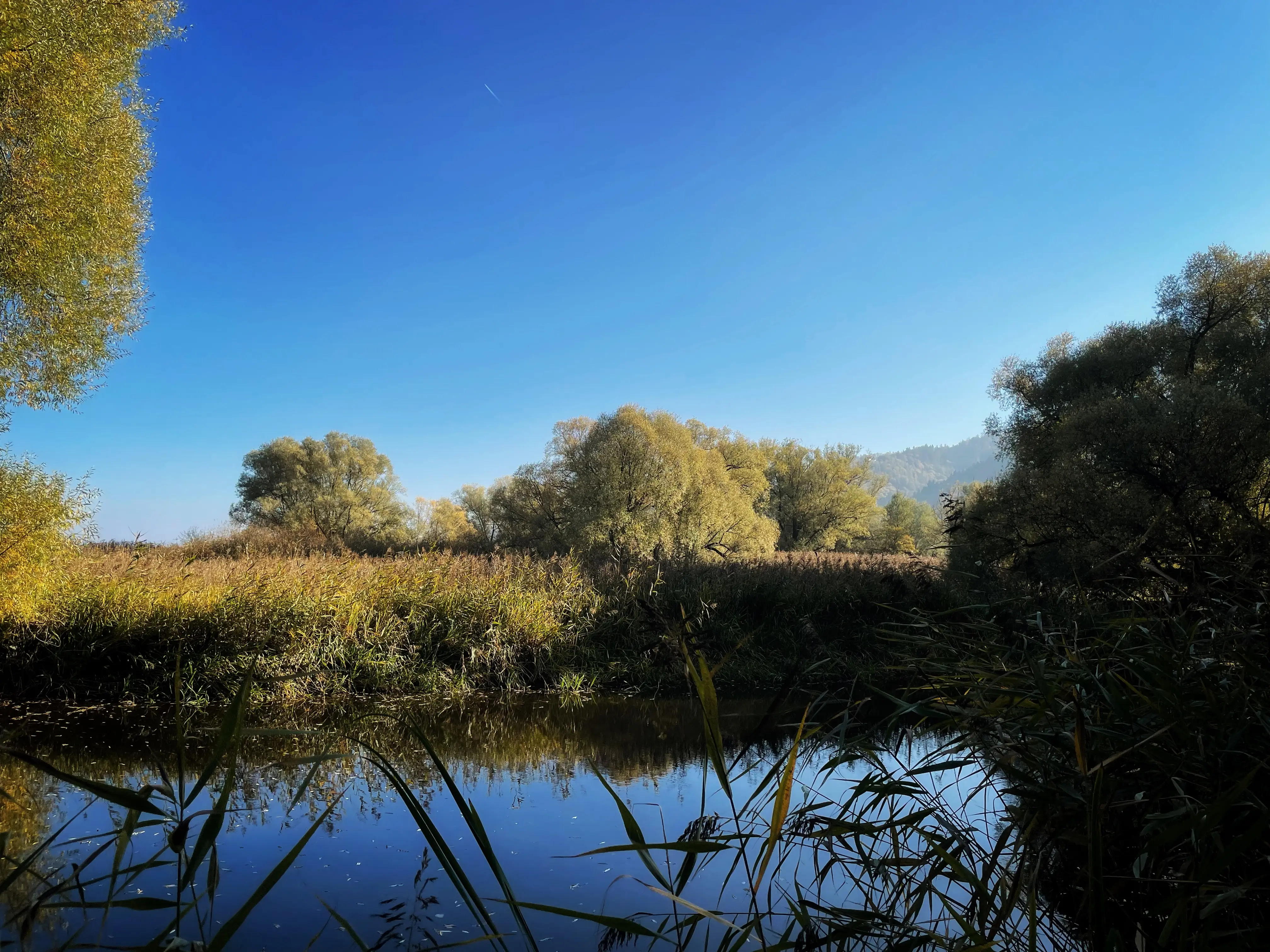Auf der spiegelglatten Wasseroberfläche reflektiert der Himmel am Bodensee besonders schön.