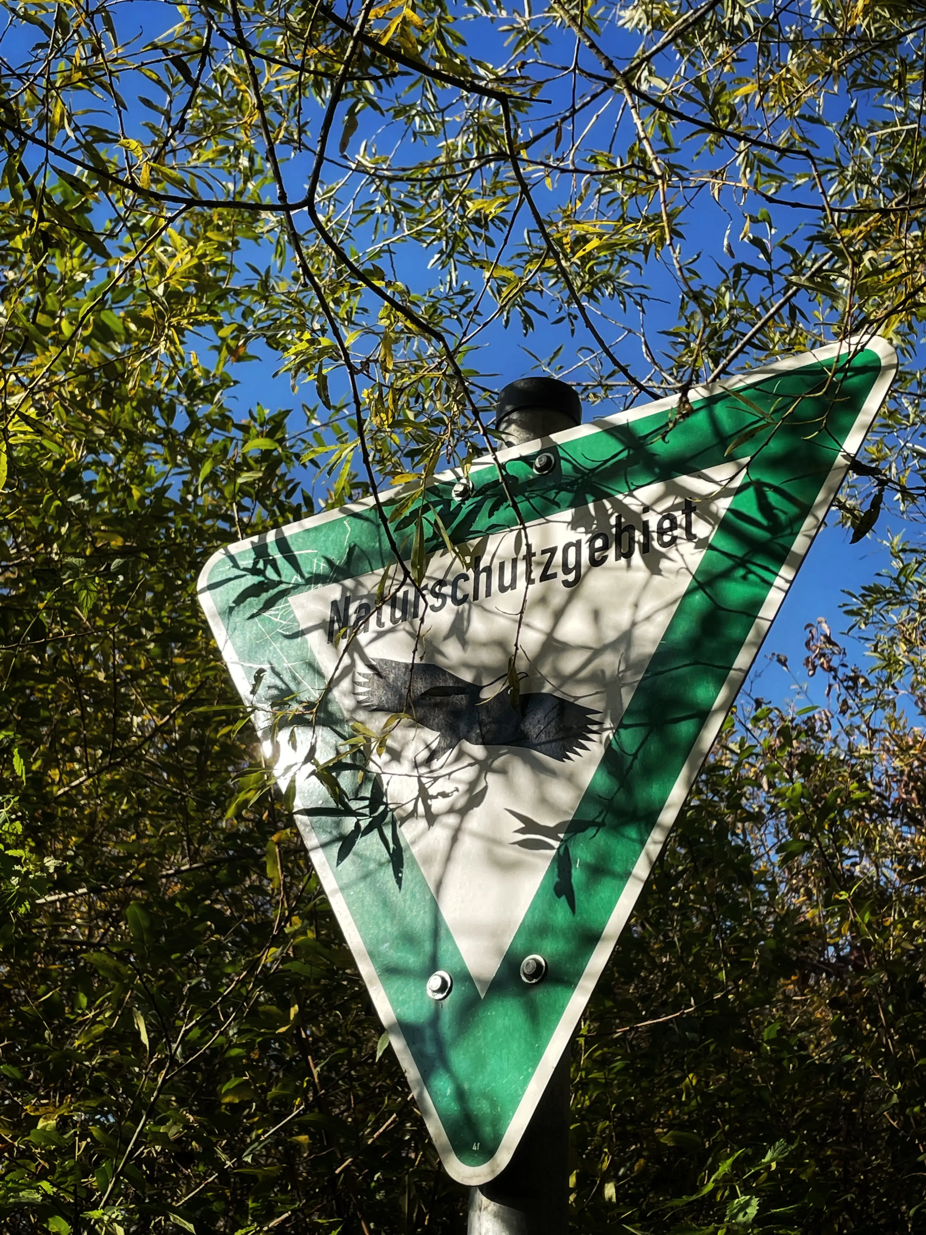 Das gesamte Gebiet der Stockacher Aachmündung steht unter Naturschutz.