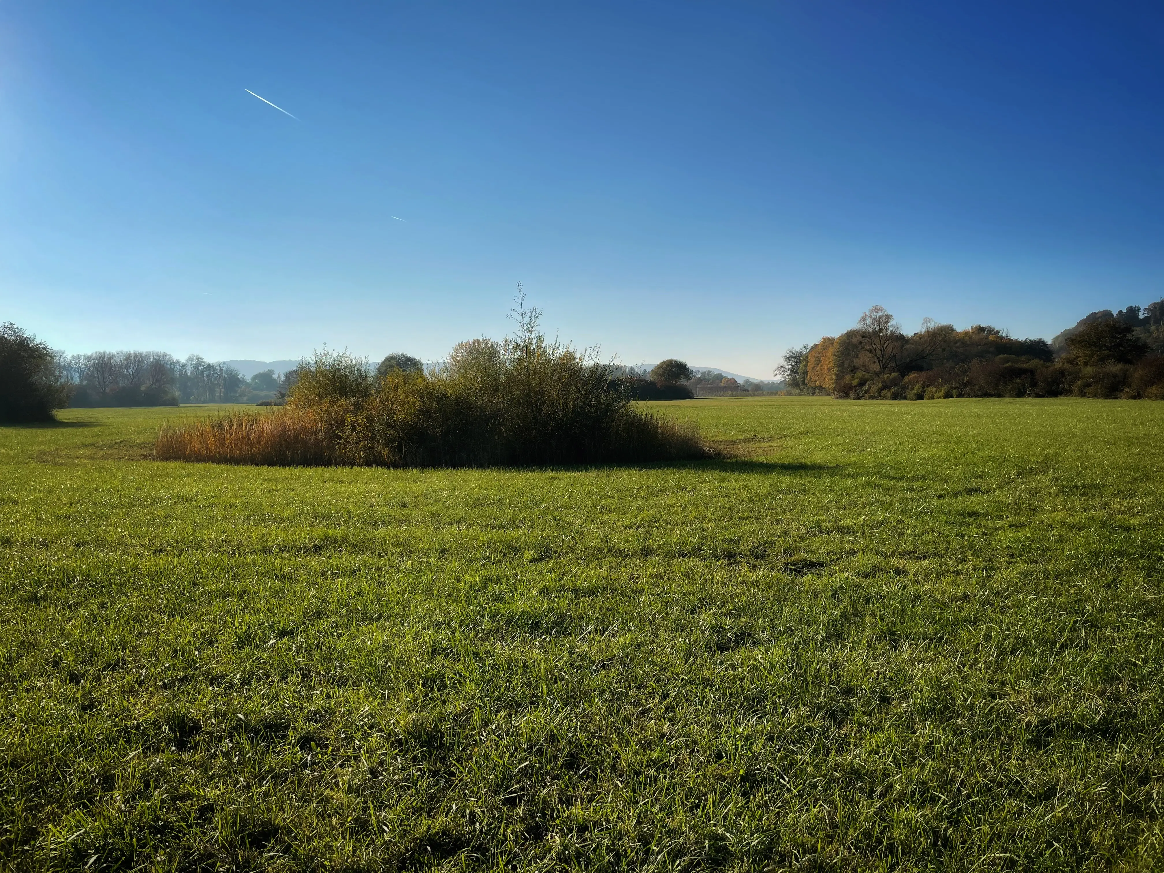 Auf ihren Rückweg entlang der Stockacher Aachmündung durchqueren die Localsbodensee grüne Wiesen.