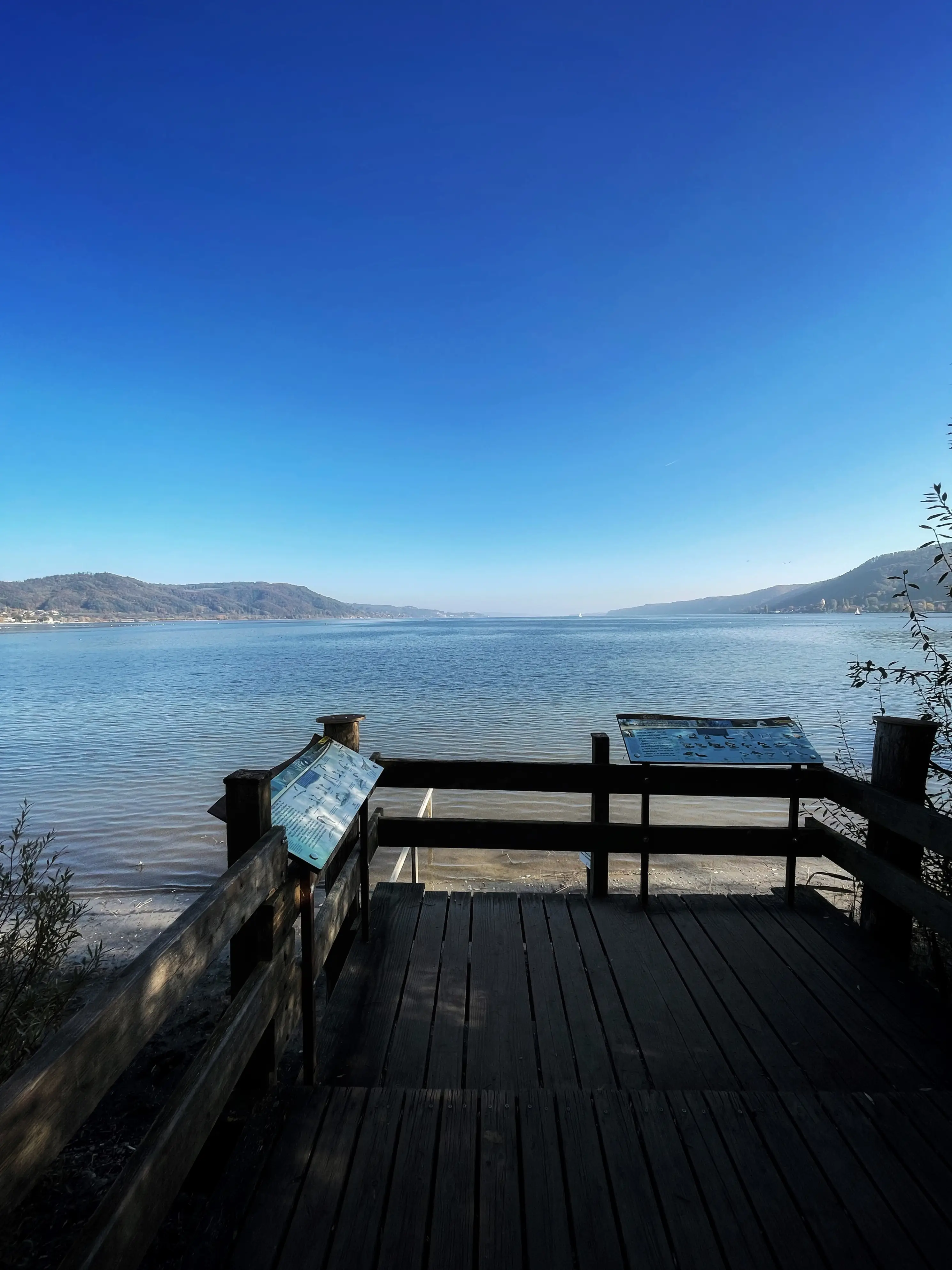 Die Aussichtsplattform im Naturschutzgebiet bietet einen wunderschönen Ausblick auf den Bodensee.