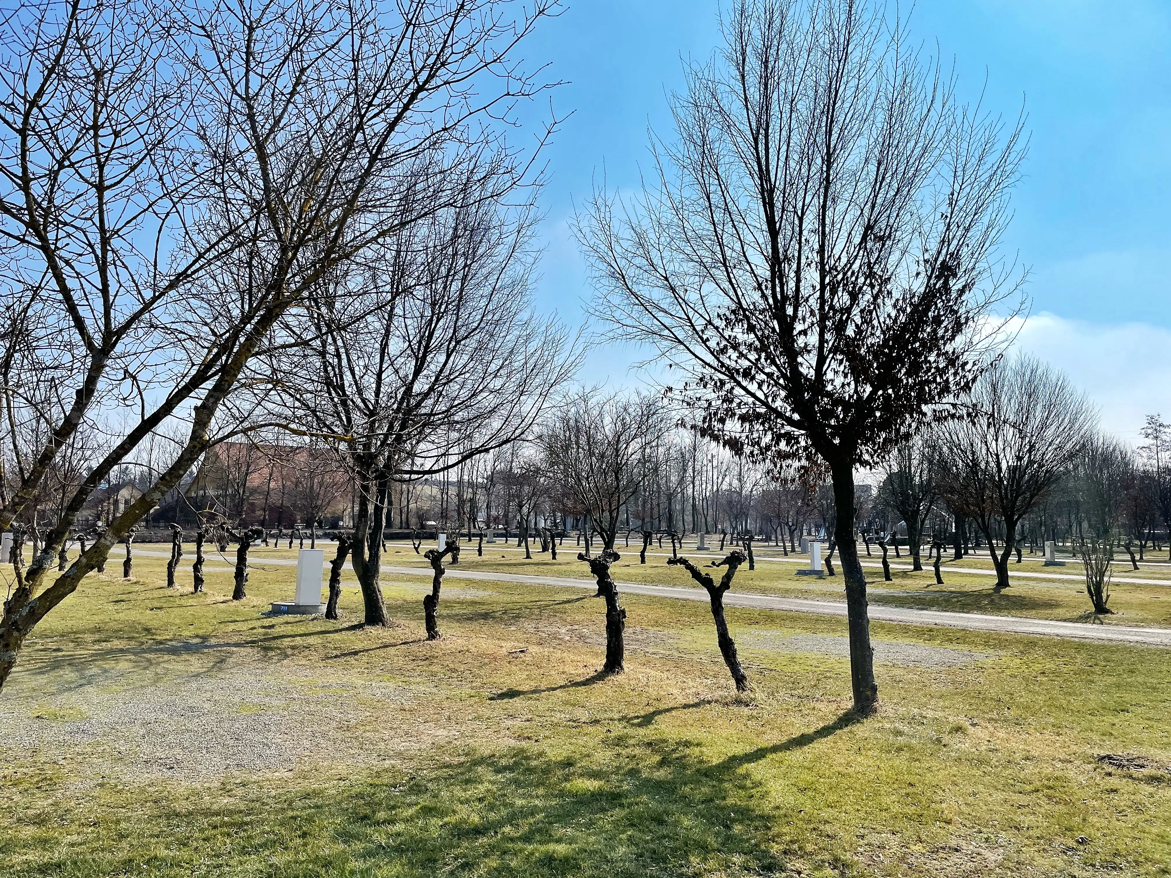 Der Campingplatz Markdorf in der Nähe des Bodensee bietet verschiedenen Stellplätze.