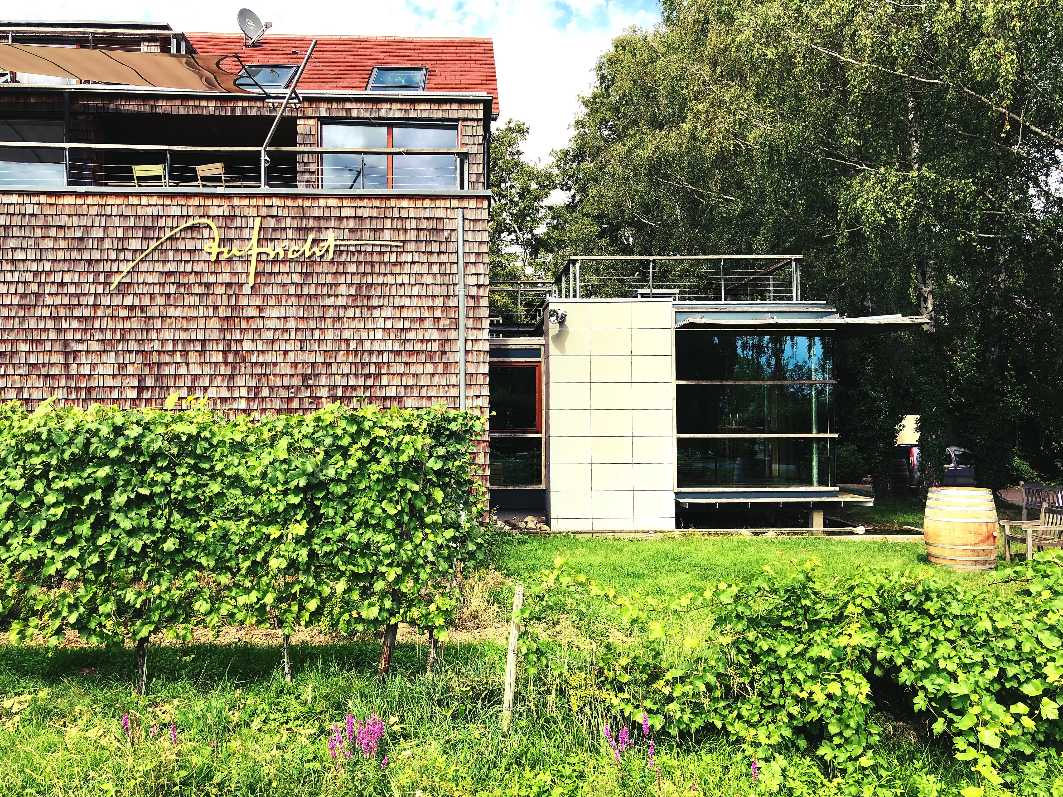 Das Weingut Aufricht in der Nähe von Stetten erweckt von außen einen sehr modernen Eindruck.