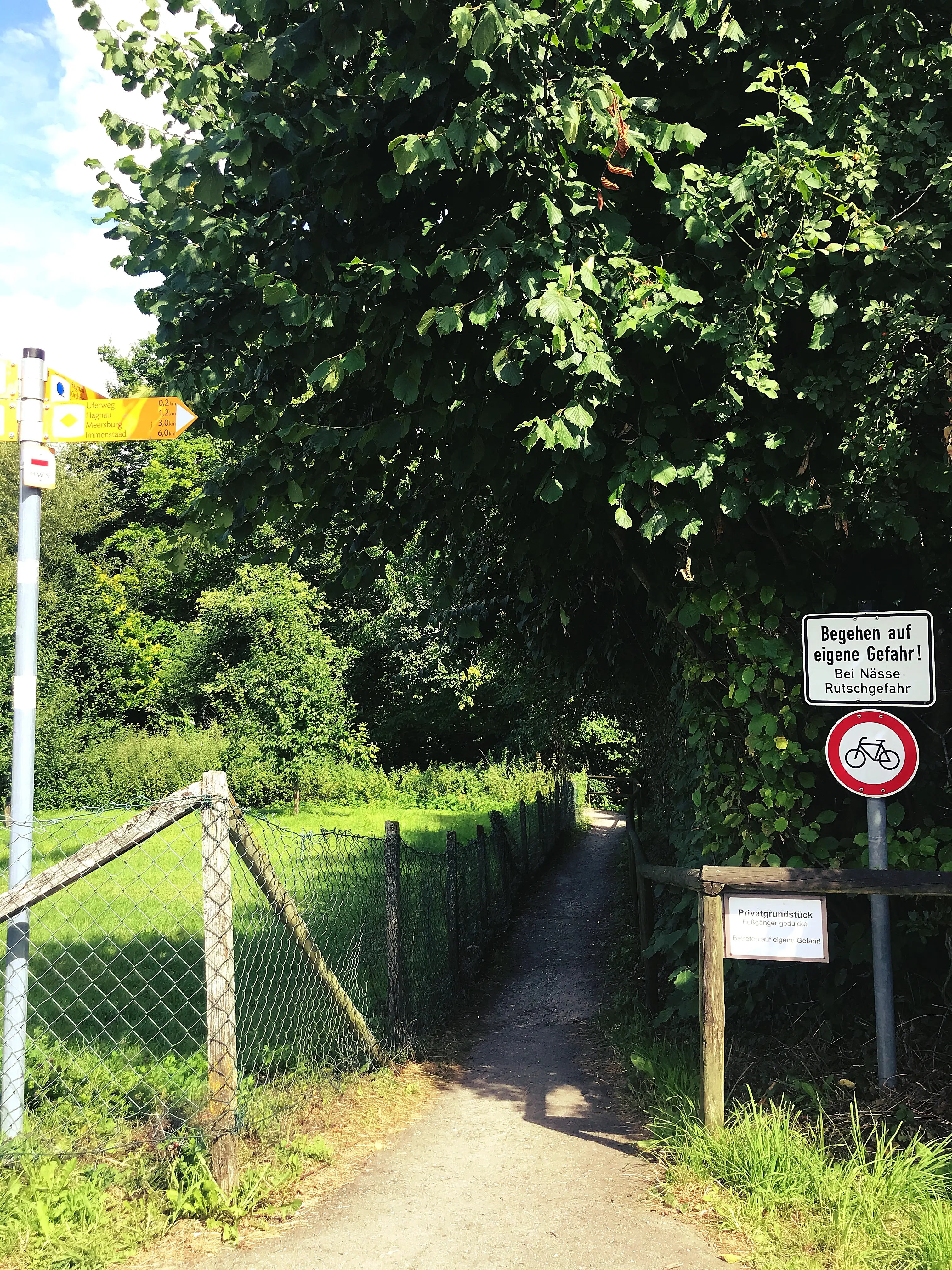 Der Höhenweg führt teilweise über kleine Wege und Bachläufe.
