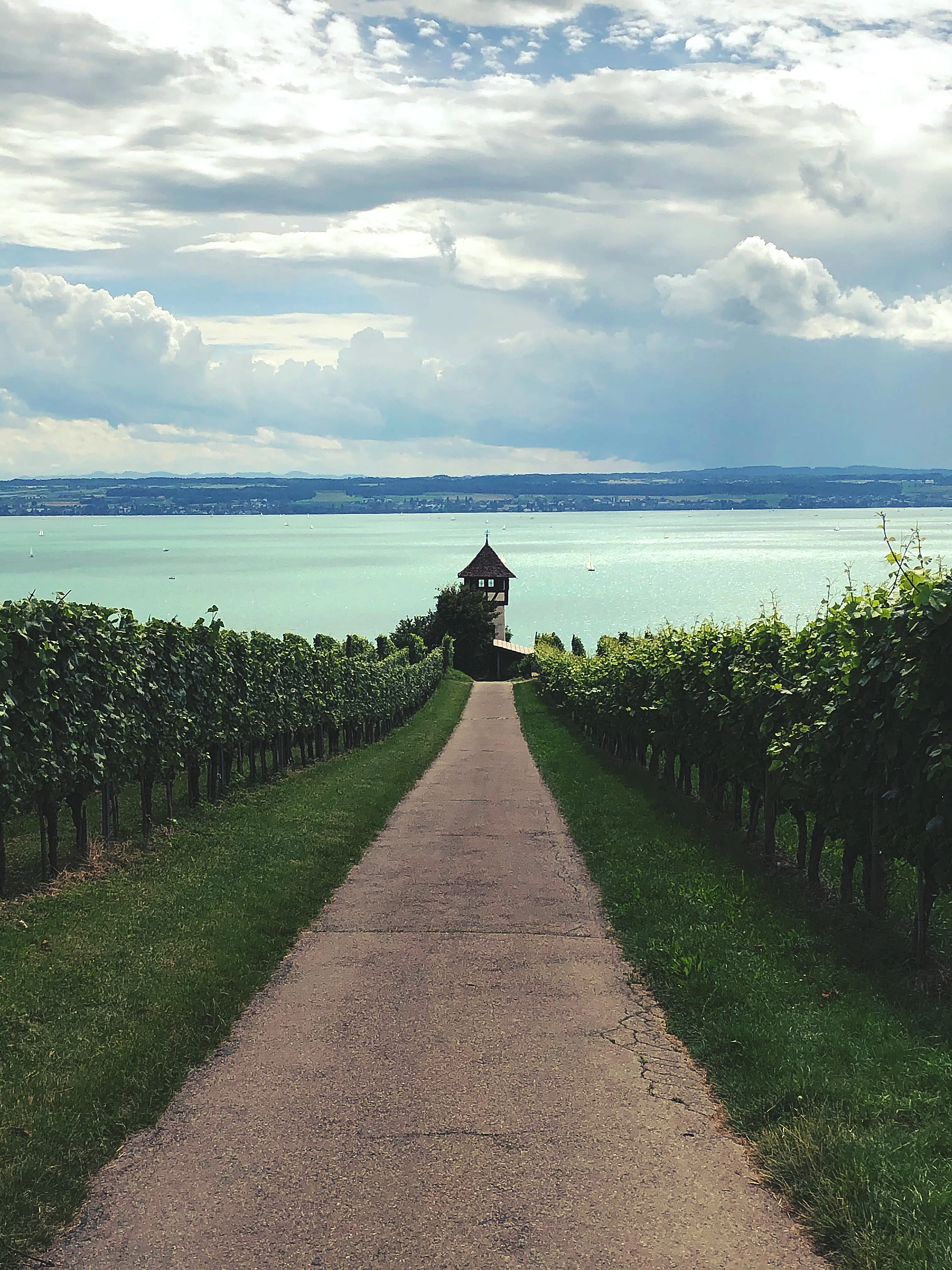 Blickt man den Weinhang bei Stetten hinunter kann man am Ende das Rebhäuschen entdecken.