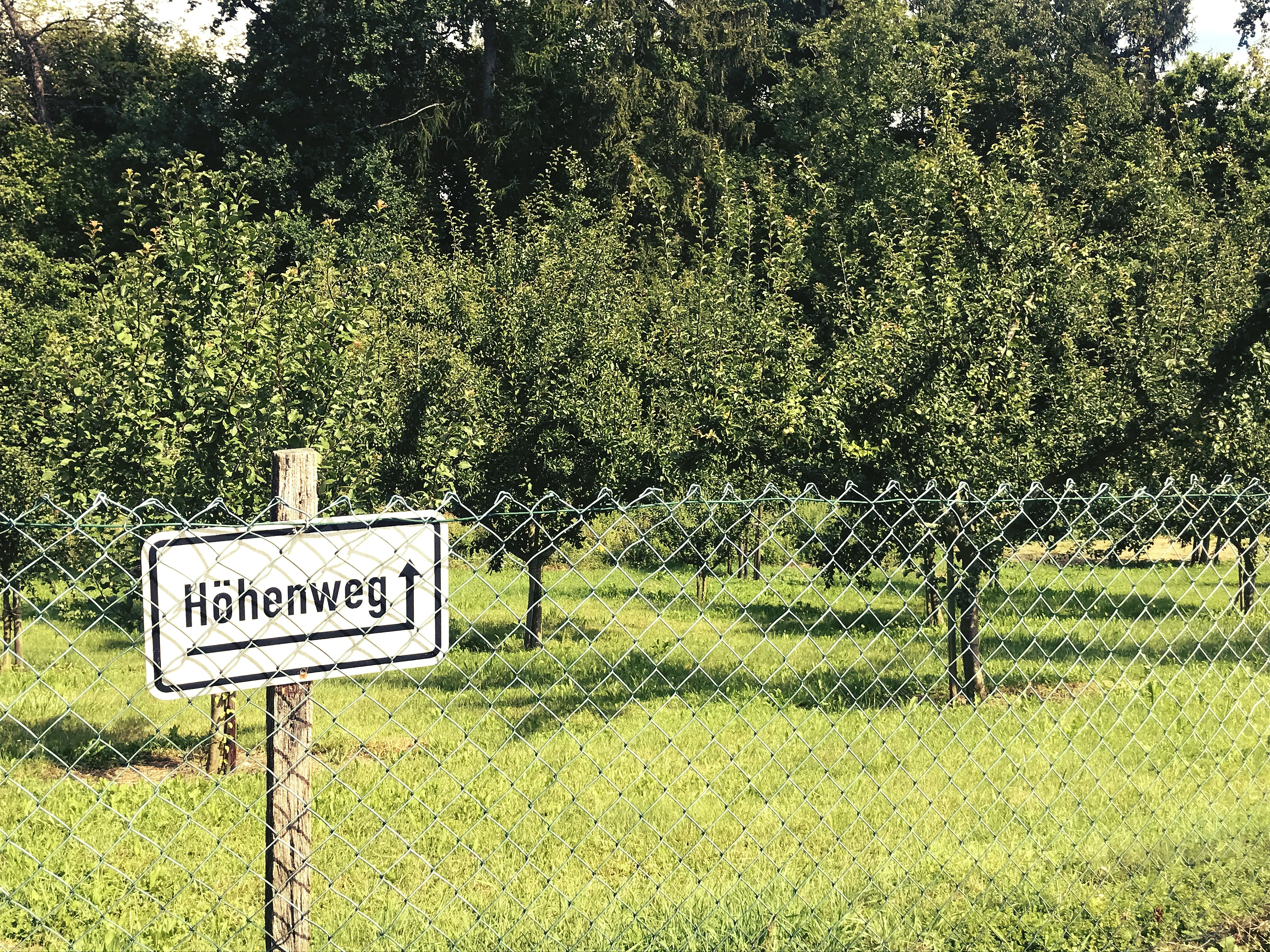 Der Höhenweg zwischen Meersburg und Hagnau am Bodensee ist gut ausgeschildert.