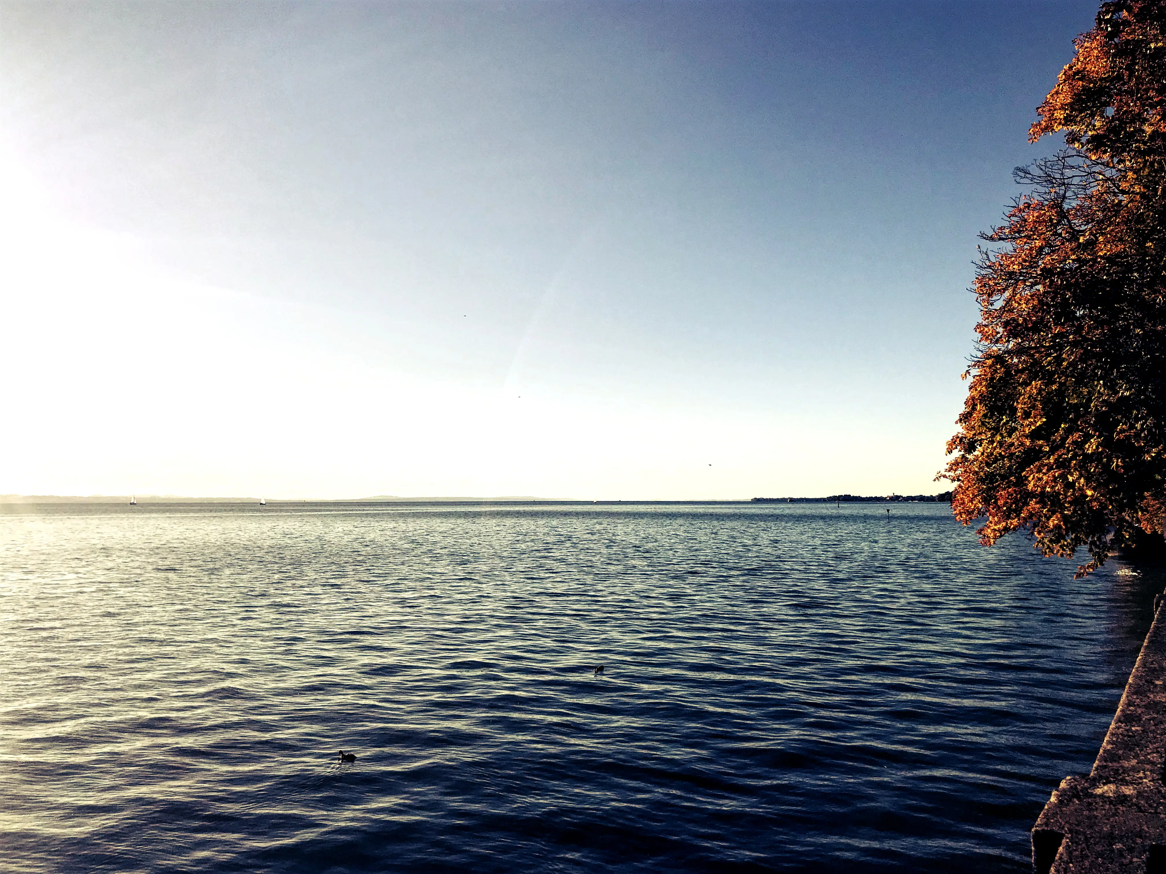 Für die Gartenschau in Lindau wurde ein neues Gelände angelegt, welches direkt am Bodensee liegt.