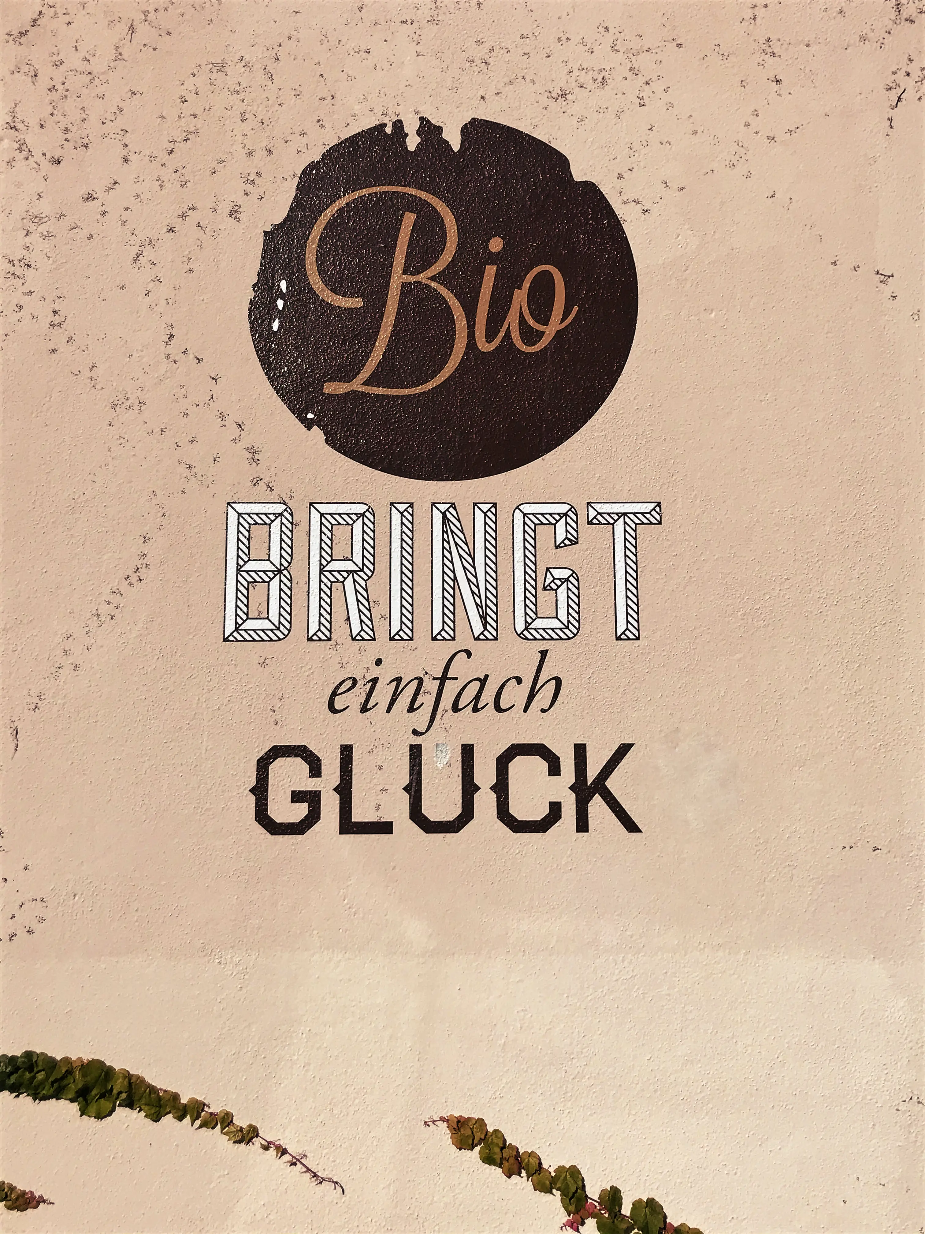 Bei Naturell Naturkost in Lindau gibt es unter anderem die tollen Bienenwachstücher von Little Bee Fresh.