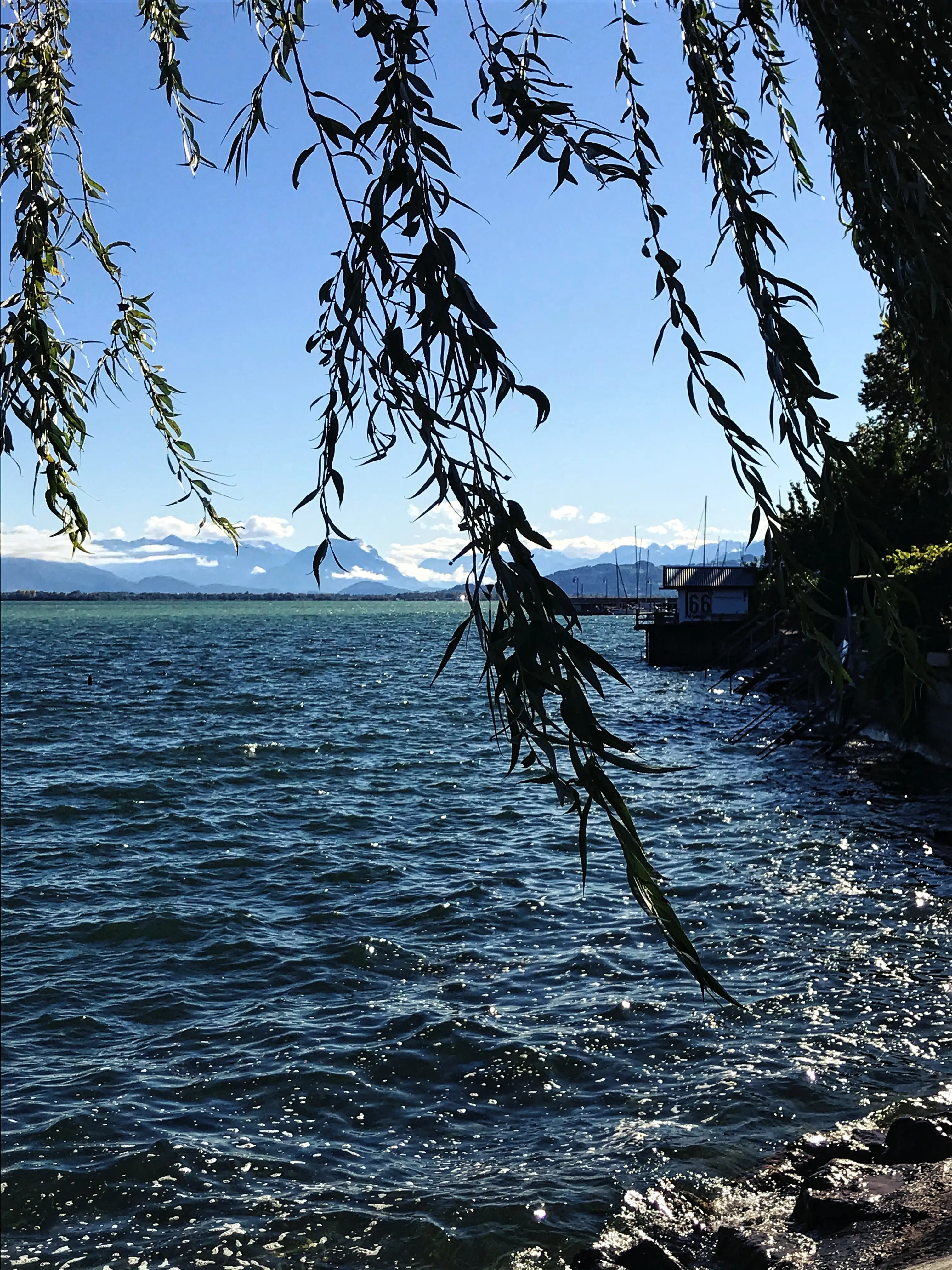 Vom Stadtgarten Lindau aus hat man einen herrlichen Blick auf den Bodensee und die Alpen.