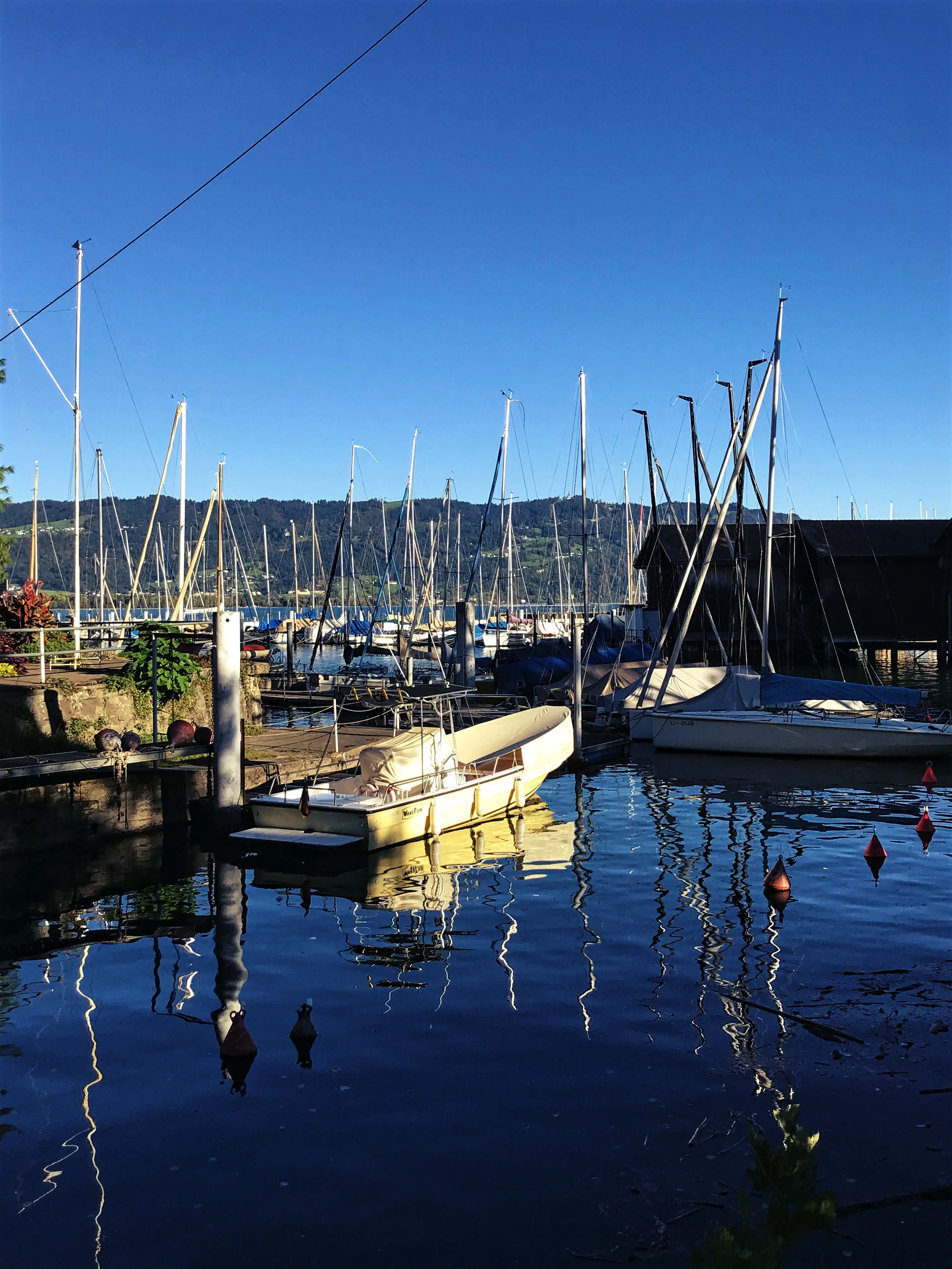 Der Lindauer Yachthafen schließt an den Liegeplätzen der Ausflugsschiffe an.