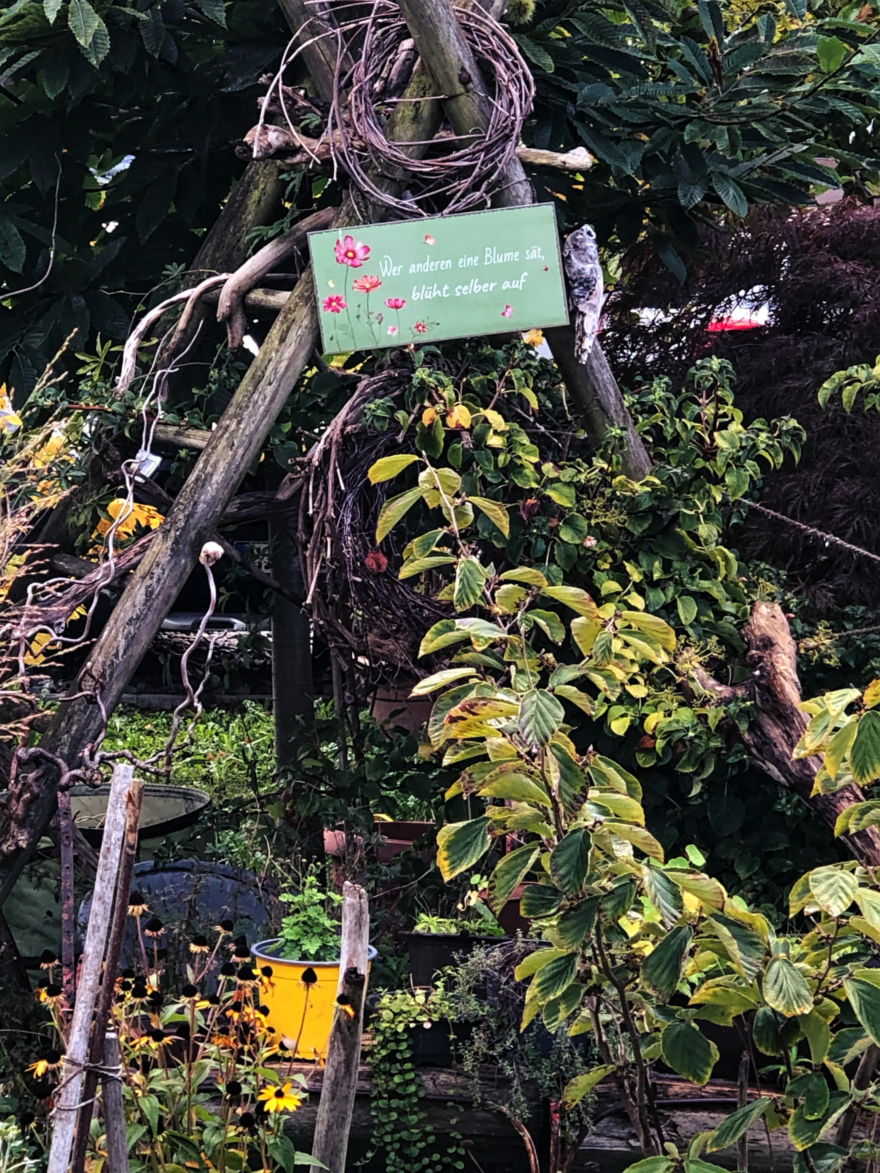 Liebevoll angelegte Gärten kann man eigentlich in jeder Straße in Wasserburg entdecken.