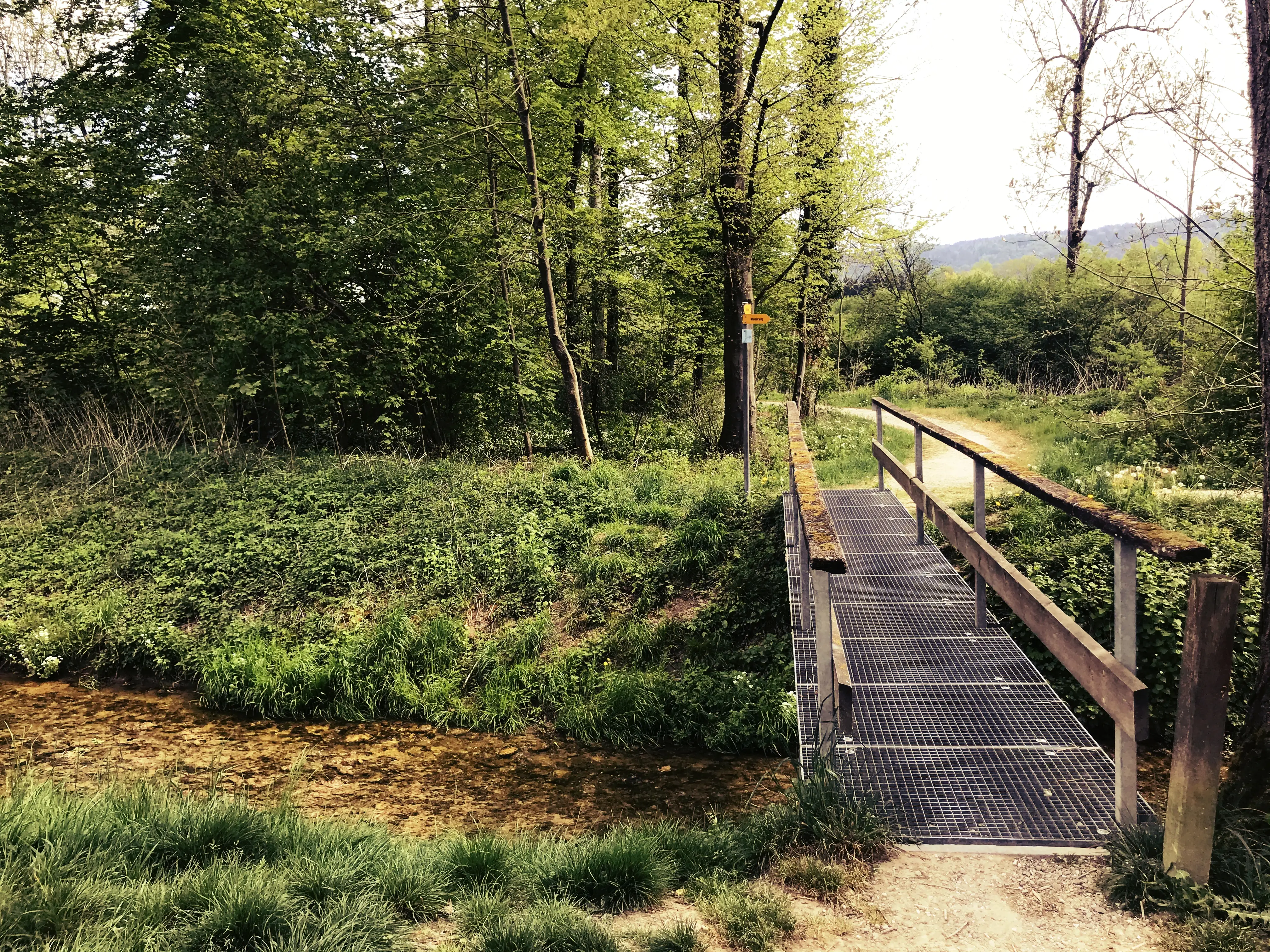 Der Biberpfad in Pfyn führt über kleine Brücken und schmale Wege.