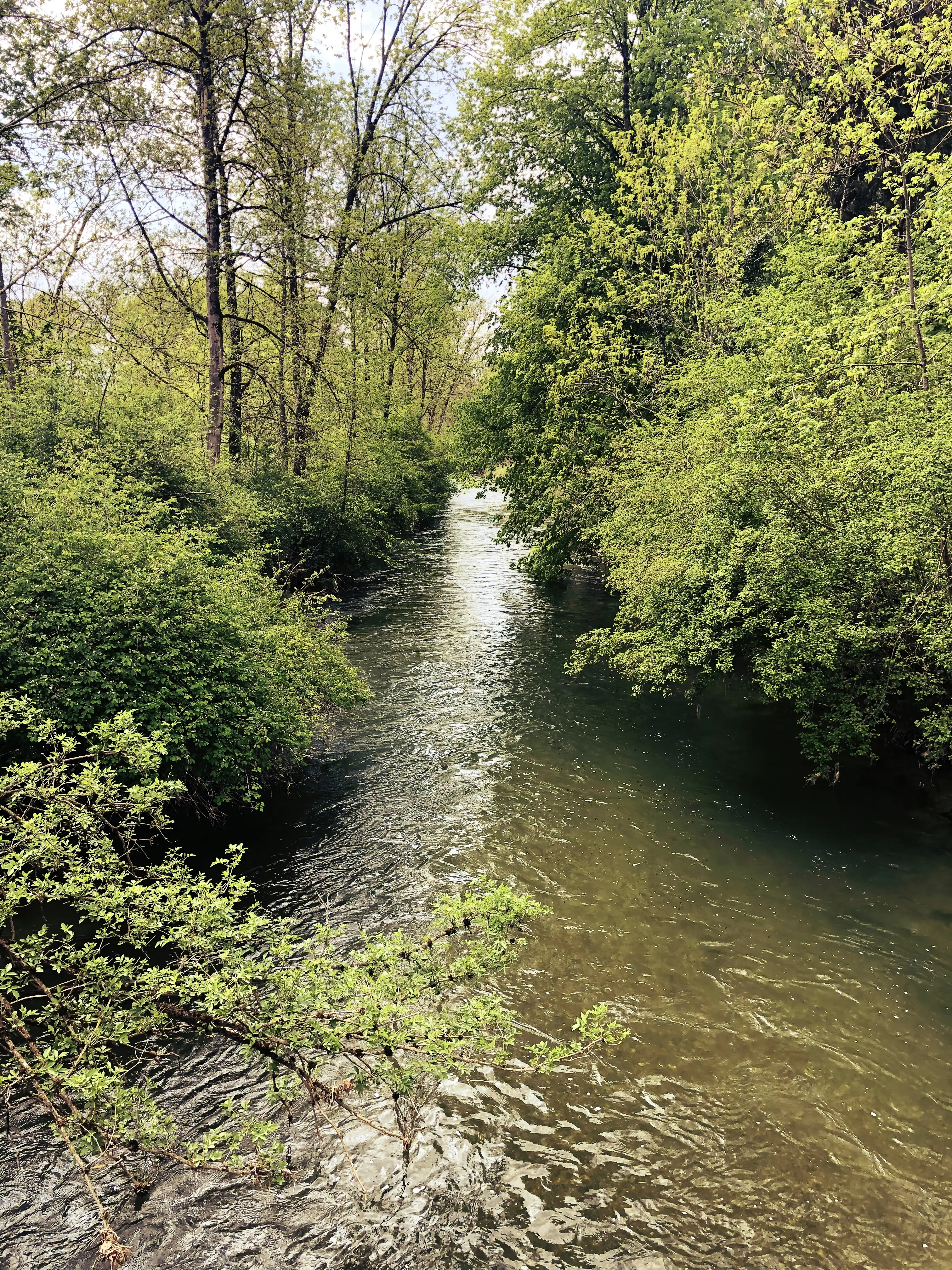 Der Großteil des Biberpfades in Pfyn führt entlang des Flusses.