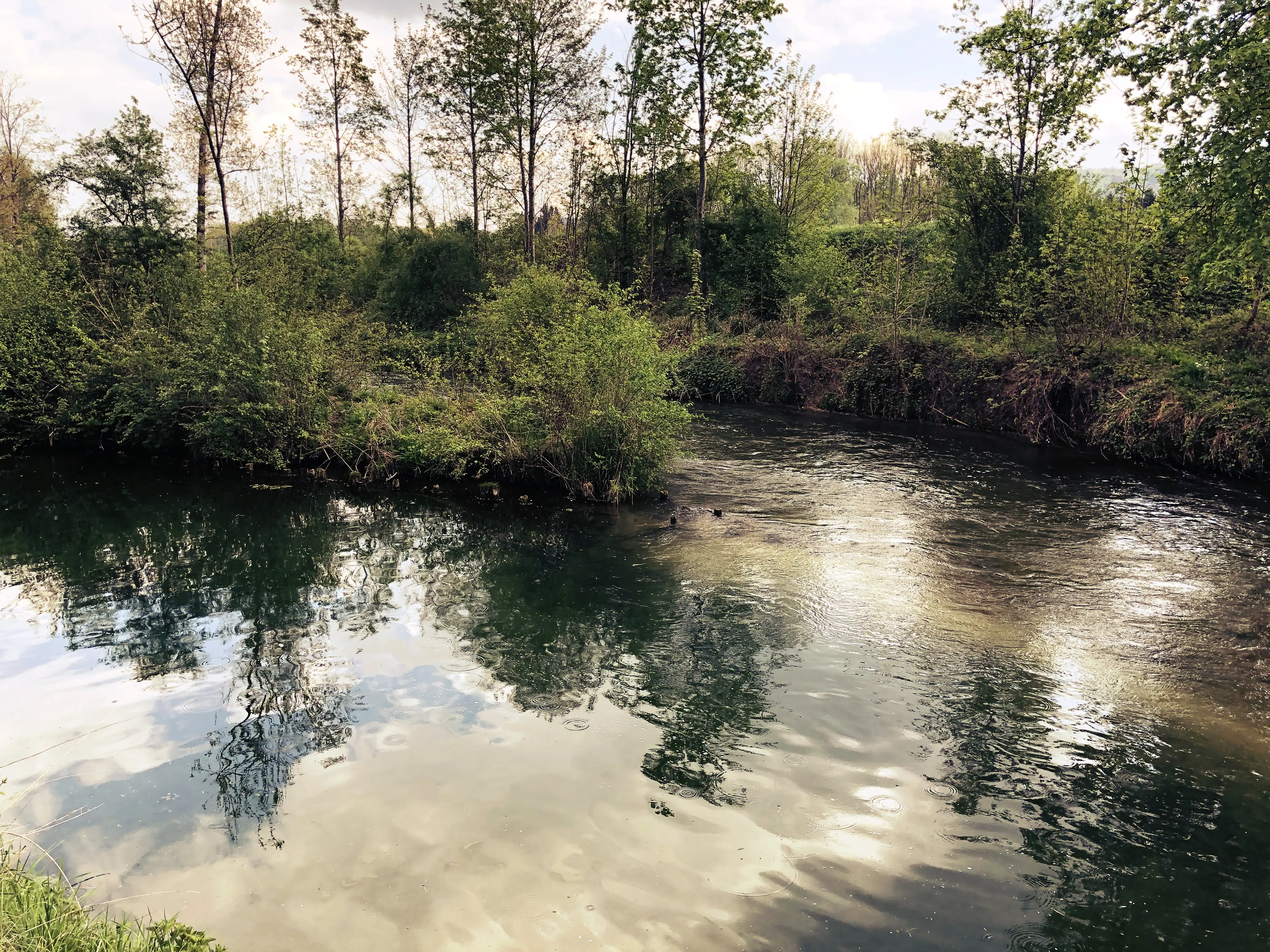 Teilweise kann man unter Wasser die Eingänge zu Biberburgen entdecken.