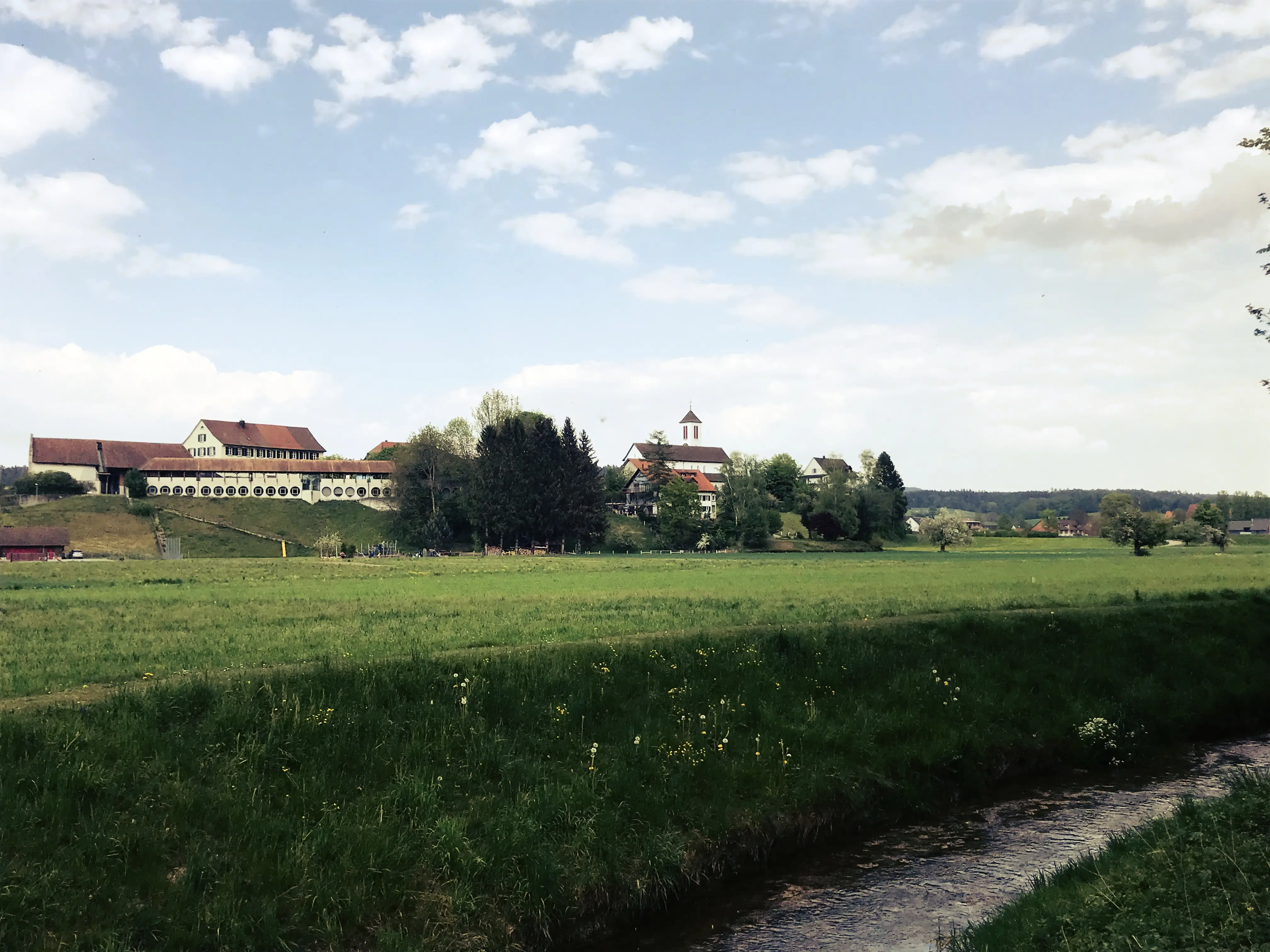 Der Weg führt die Localsbodensee wieder zurück entlang grüner Wiesen zum Ausgangspunkt des Biberpfad in Pfyn.