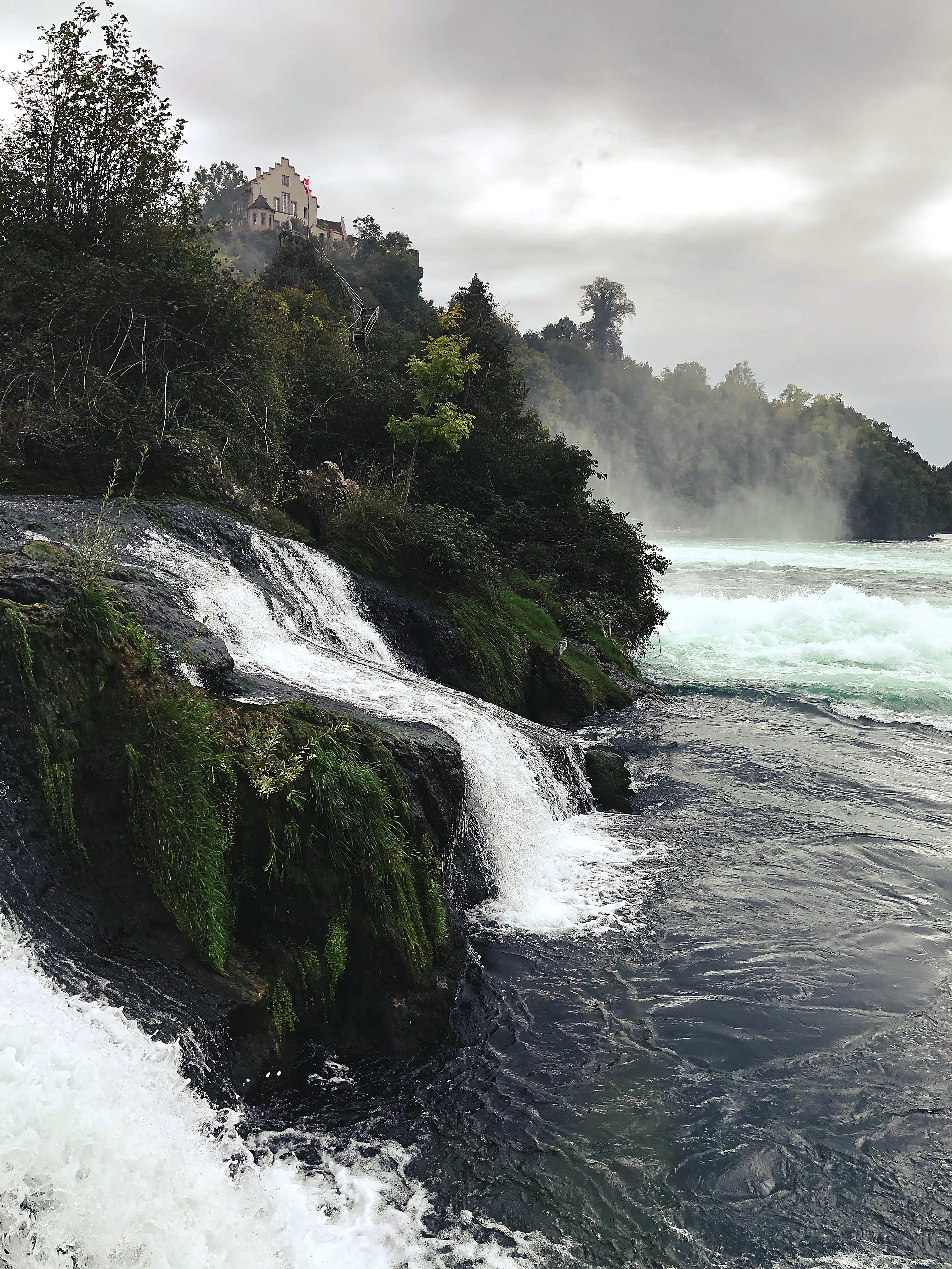 Weißes sprudelndes Wasser fließt am Rheinfall bei Schaffhausen neben ganz ruhigen, sehr klaren Wasser.