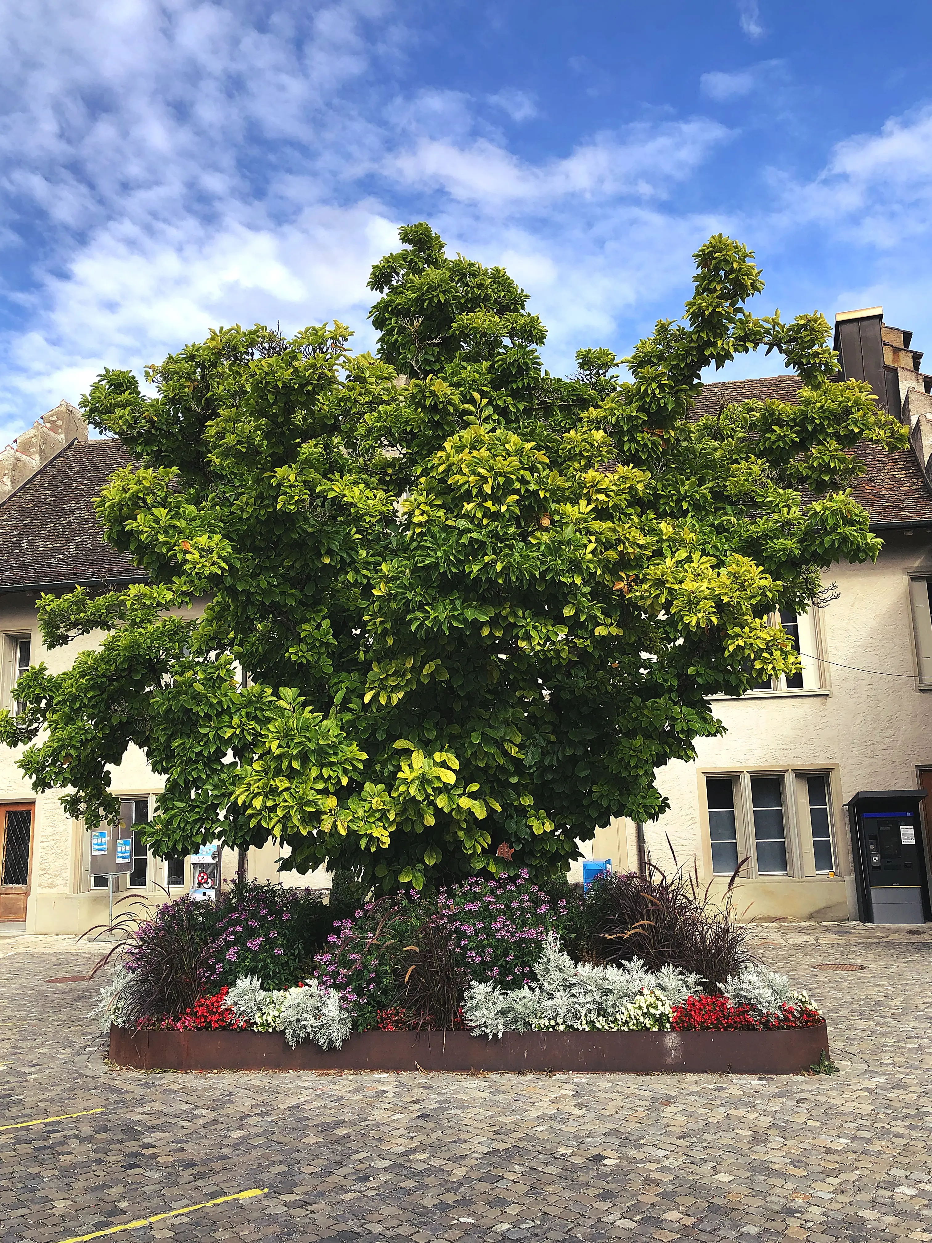 Der Innenhof des Schloss Laufen ist sehr schön angelegt und führt wieder direkt zum Rheinfall.