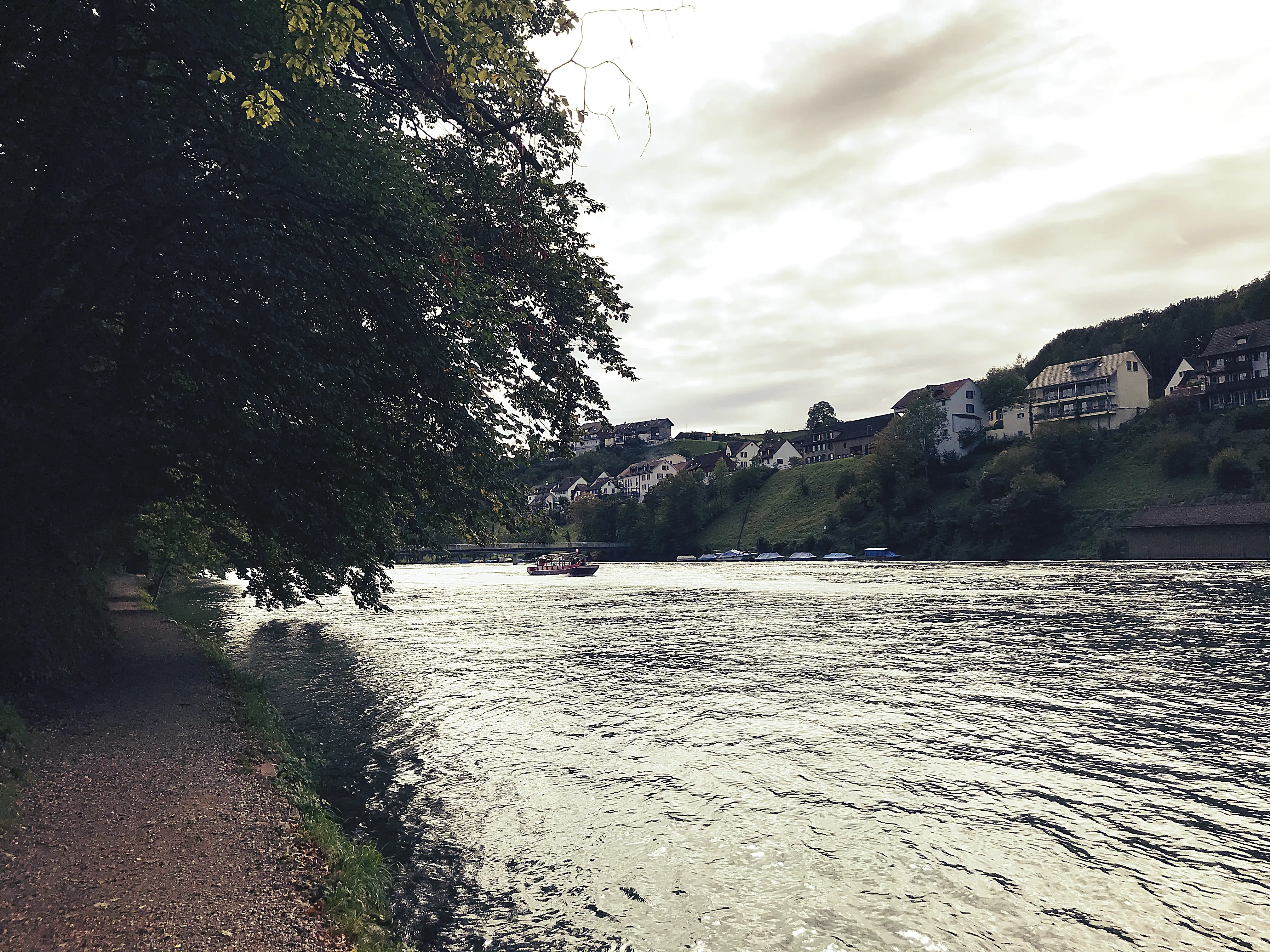 Vom Rheinfall aus laufen die Localsbodensee den Rhein entlang.