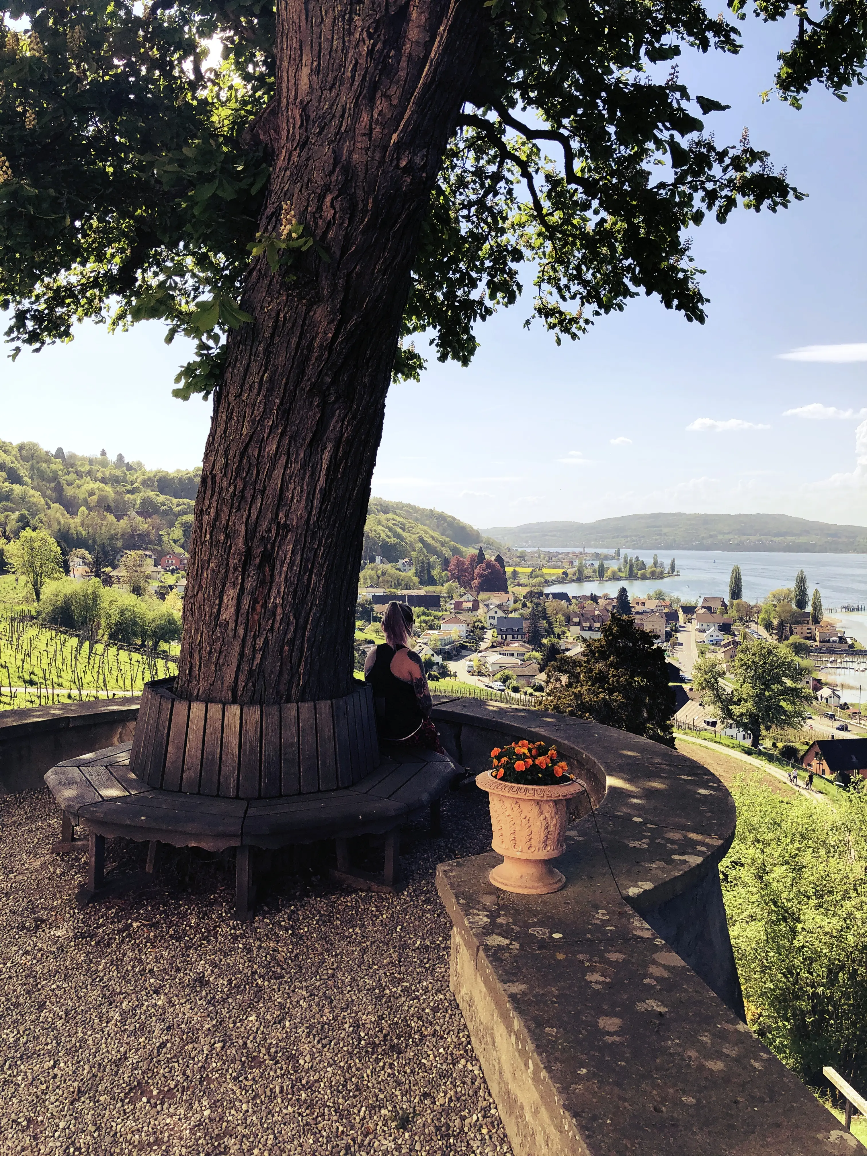 Bänke laden zum Verweilen und Genießen der Aussicht auf den Bodensee ein.