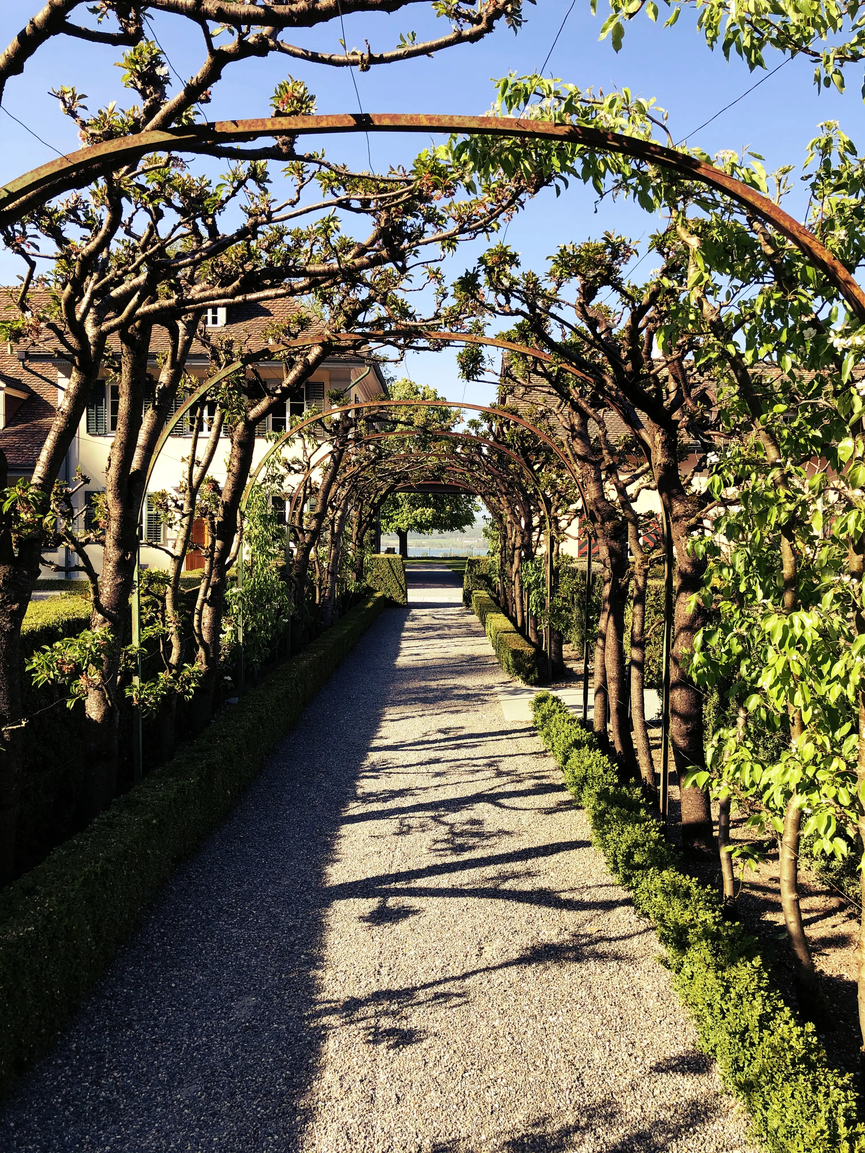 Schmale bewachsene Wege führen durch die Anlage des Schloss Wolfsberg.
