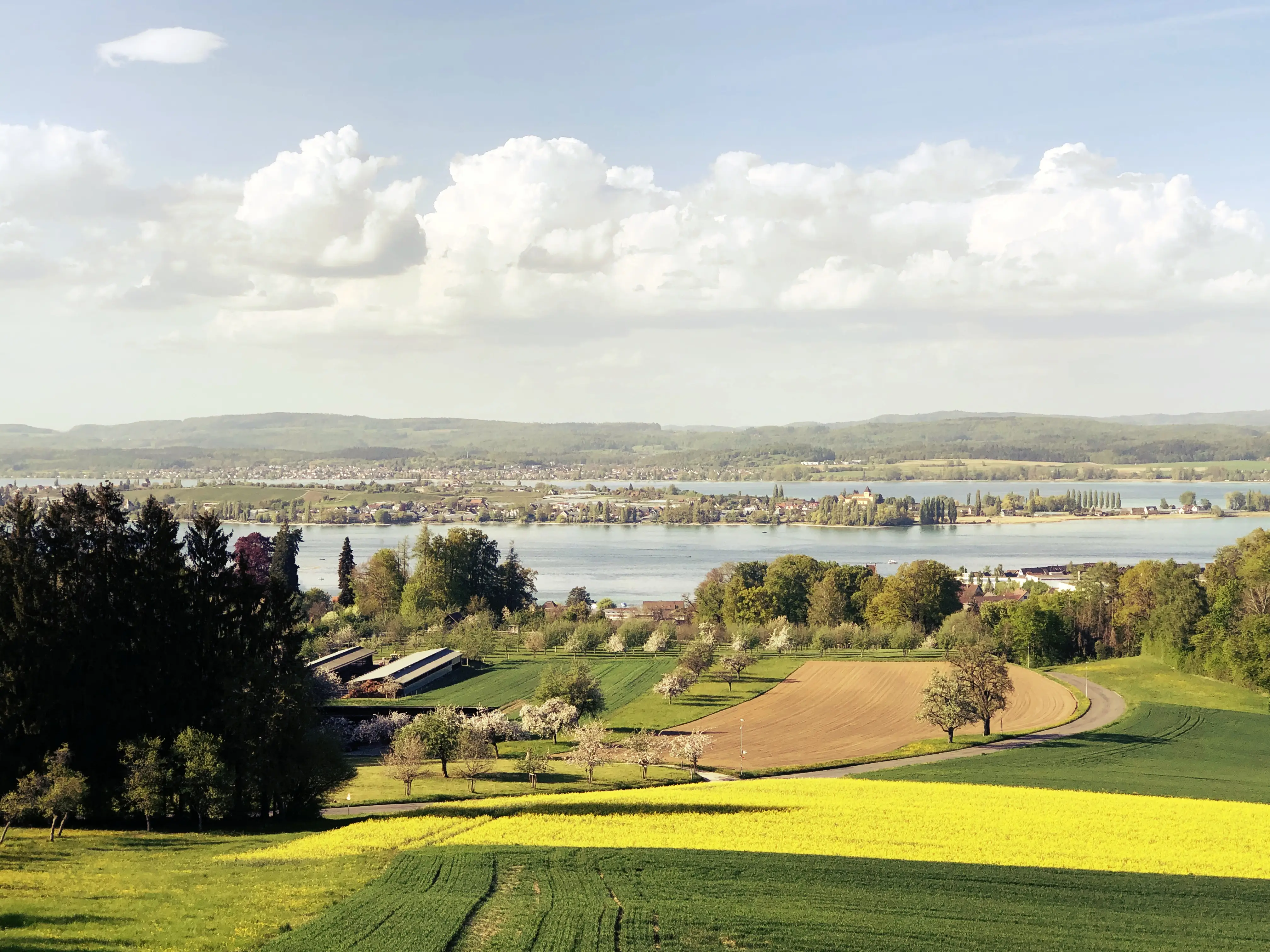 Der Blick von Schloss Wolfsberg aus auf den Bodensee ist atemberaubend schön. Die deutsche Seite des Bodensees mit der Insel Reichenau lassen sich von hier oben aus problemlossehen.