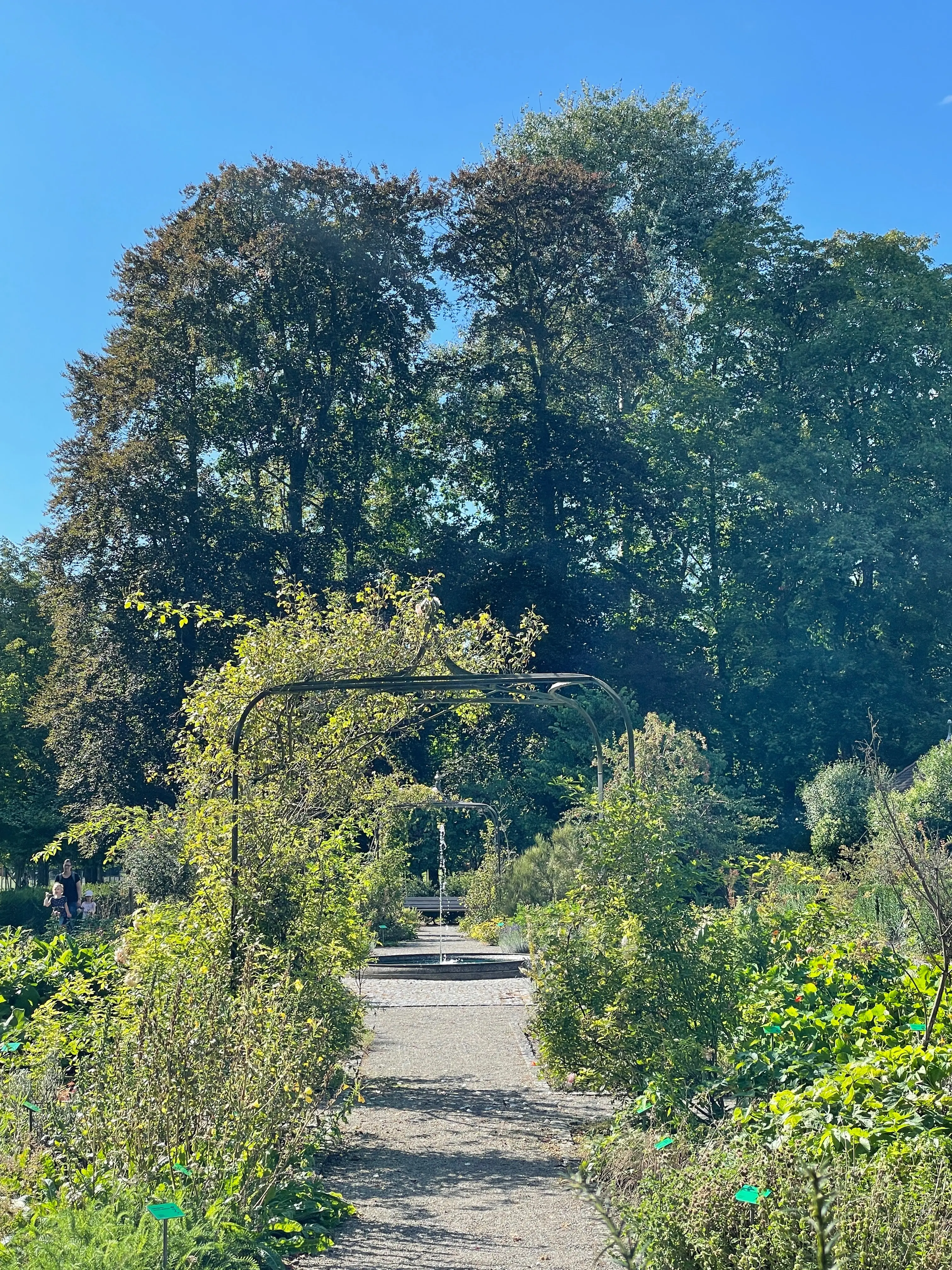 Der Heil- und Kräutergarten im Kreuzlingen Seeburgpark steht unter der Schirmherrschaft der Firma Rausch.