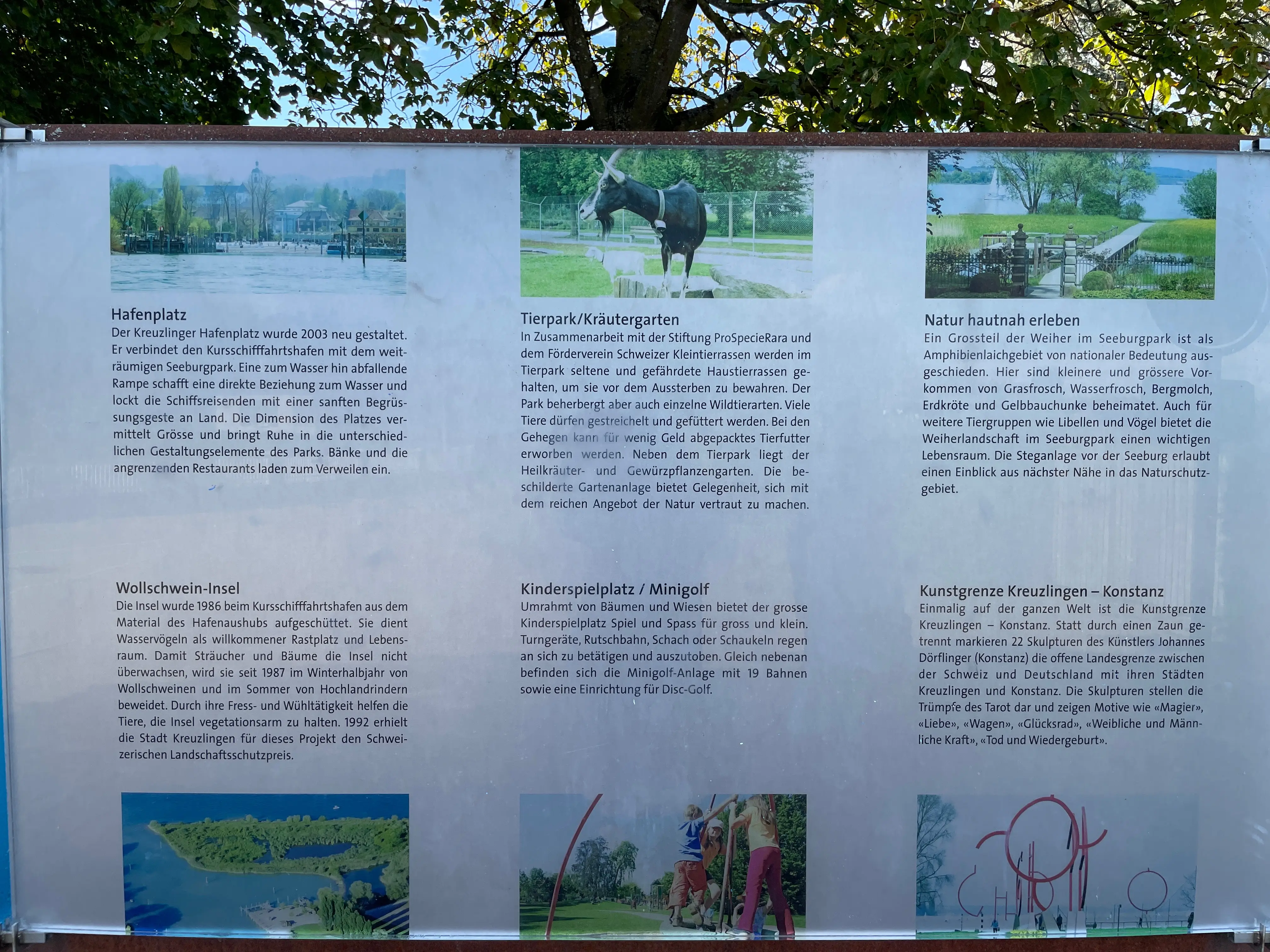 Der Seeburgpark am Bodensee ist mit ca. 2,5km Länge die größte öffentlich zugängliche Parkanlage am See.