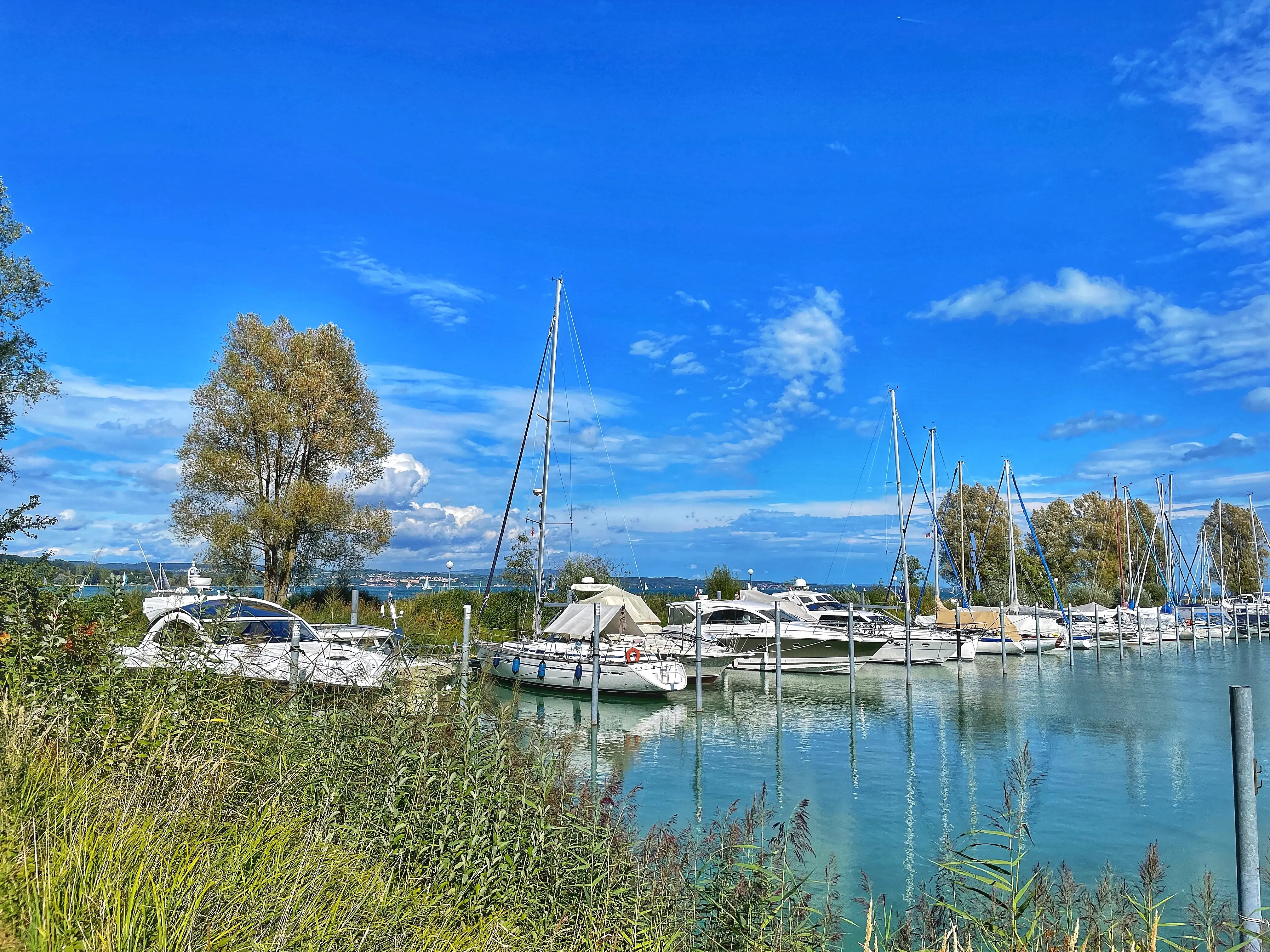 Im Seeburgpark Kreuzlingen gibt es neben einer Minigolf-Anlage, einem Tierpark und dem Schloss Seeburg einen Hafen direkt am Bodensee.
