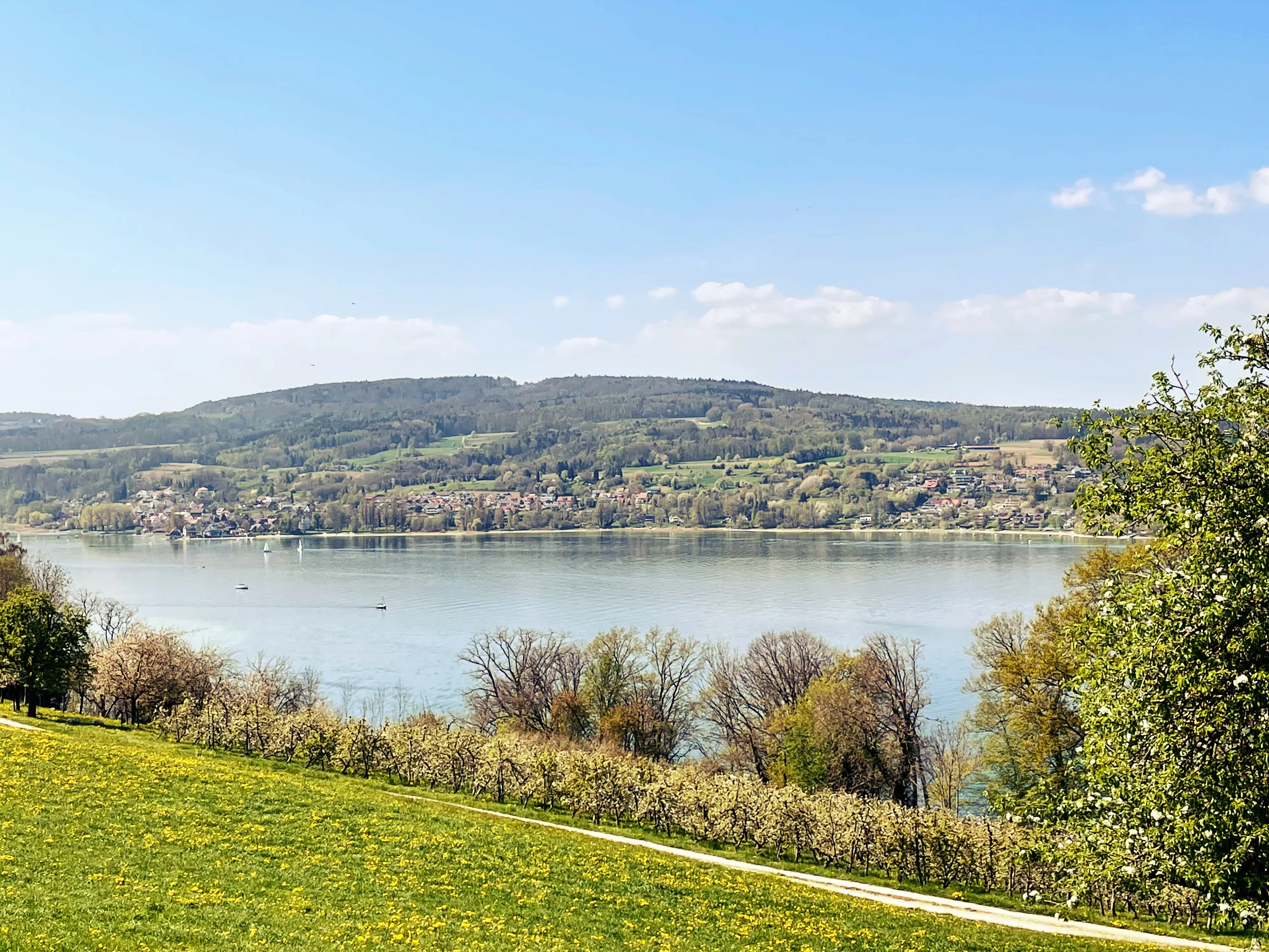 An höher gelegenen Punkten des Fabelwegs hat man einen herrlichen Blick auf den Bodensee.