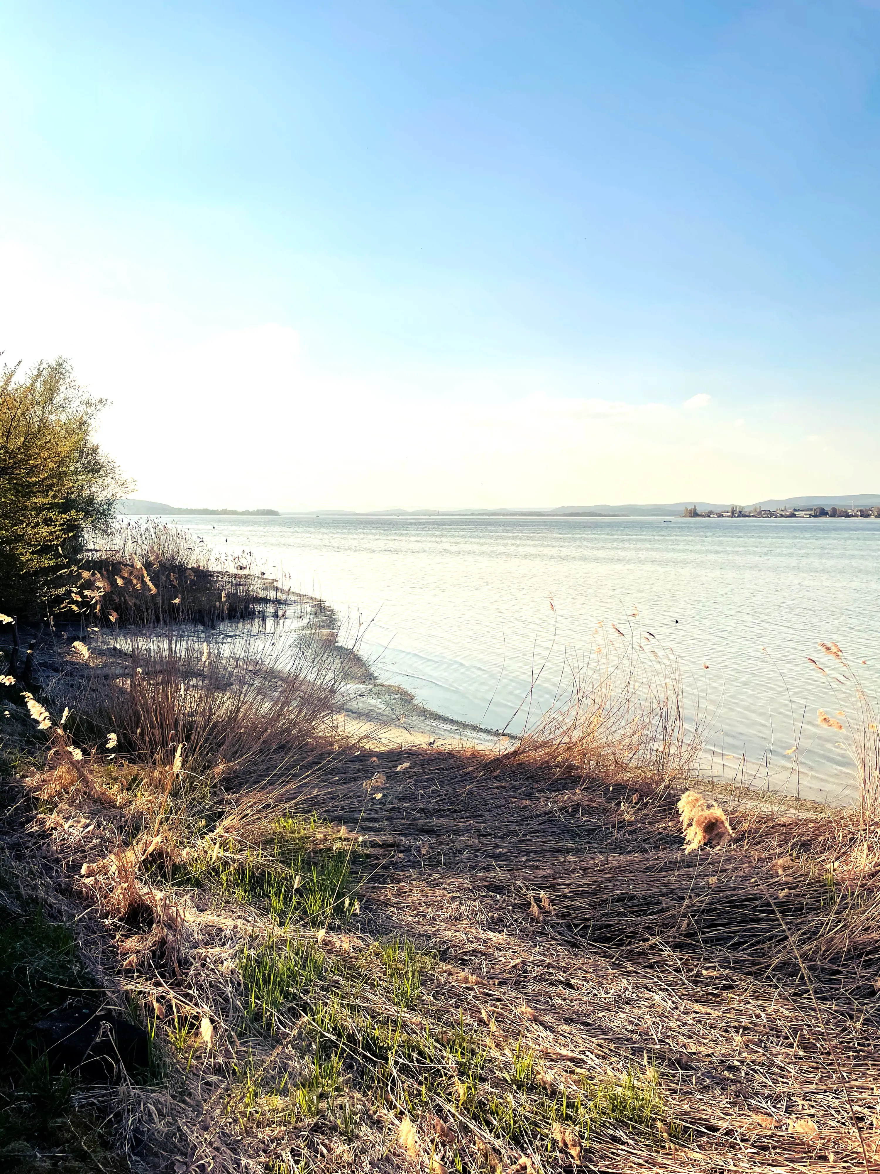 Da der Fabelweg nicht direkt am Bodenseeufer entlang läuft, gehen die Localsbodensee von Ermatingen nach Steckborn direkt am See entlang.