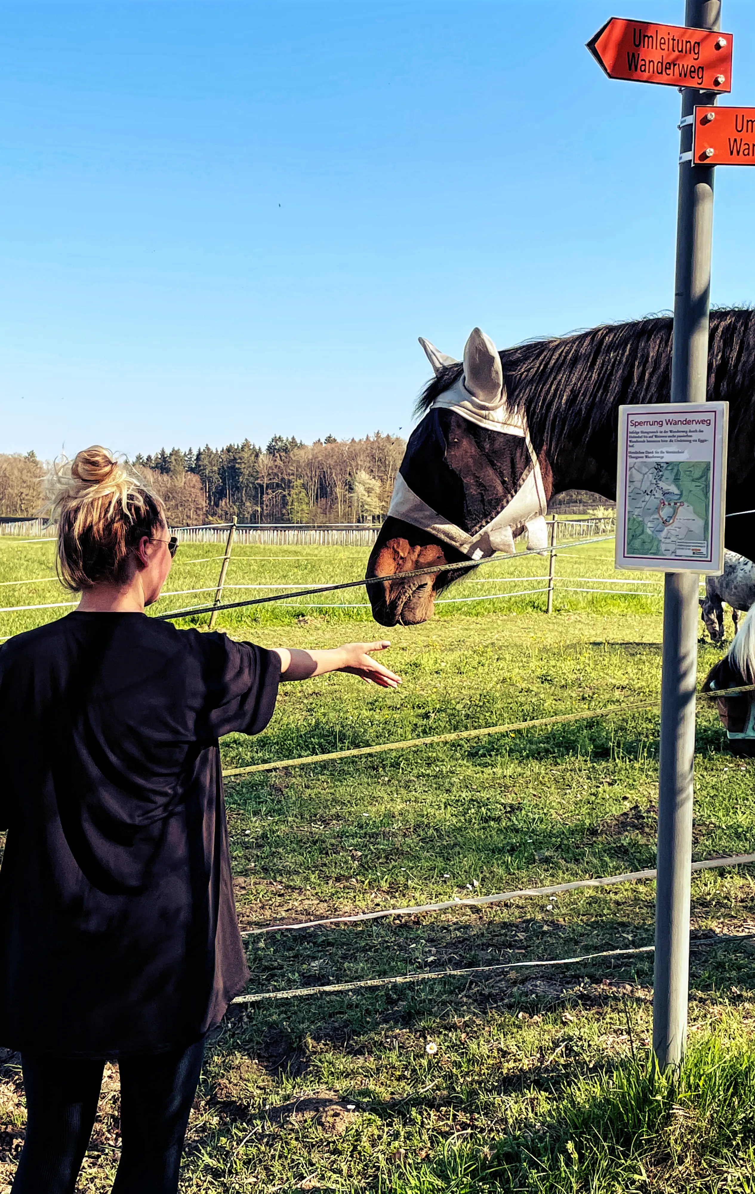 Pferde sind vor allem für die Kinder ein Highlight auf dem Fabelweg.