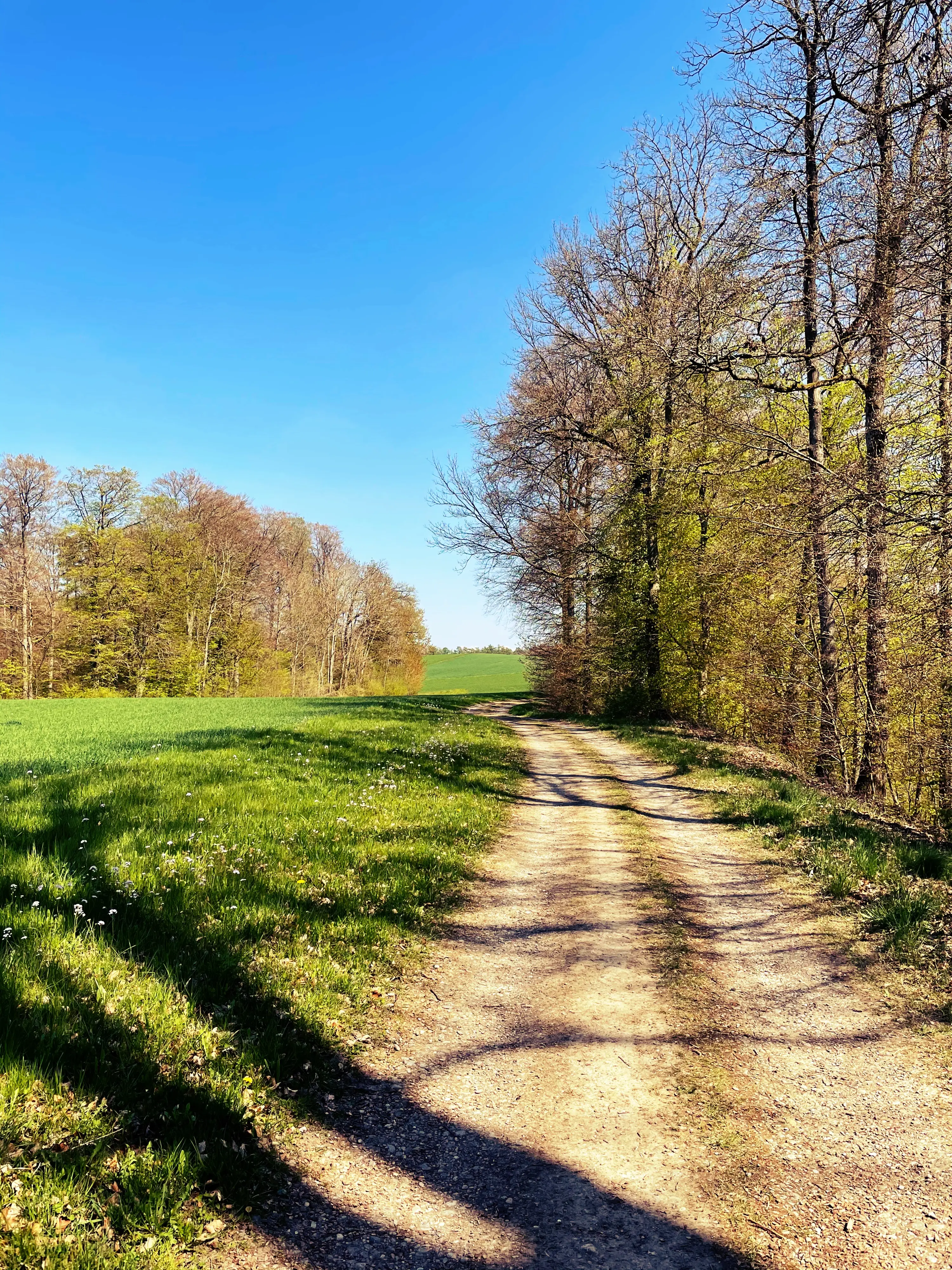 Die Route des Fabelwegs führt über Feldwege mitten durch die Natur.
