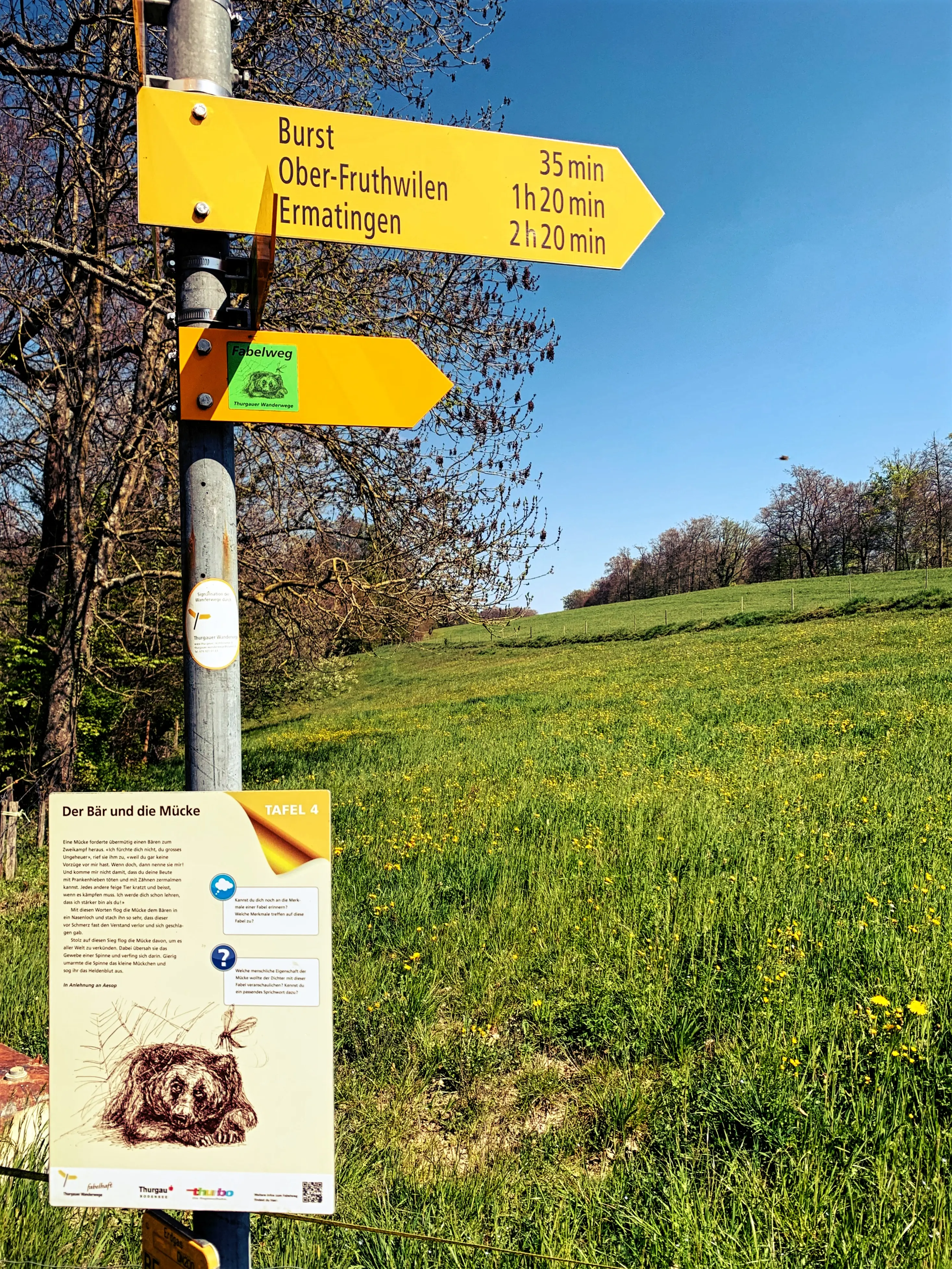 Viele Wegweiser leiten die Familien und Spaziergänger entlang des Fabelwegs im Thurgau am Bodensee.